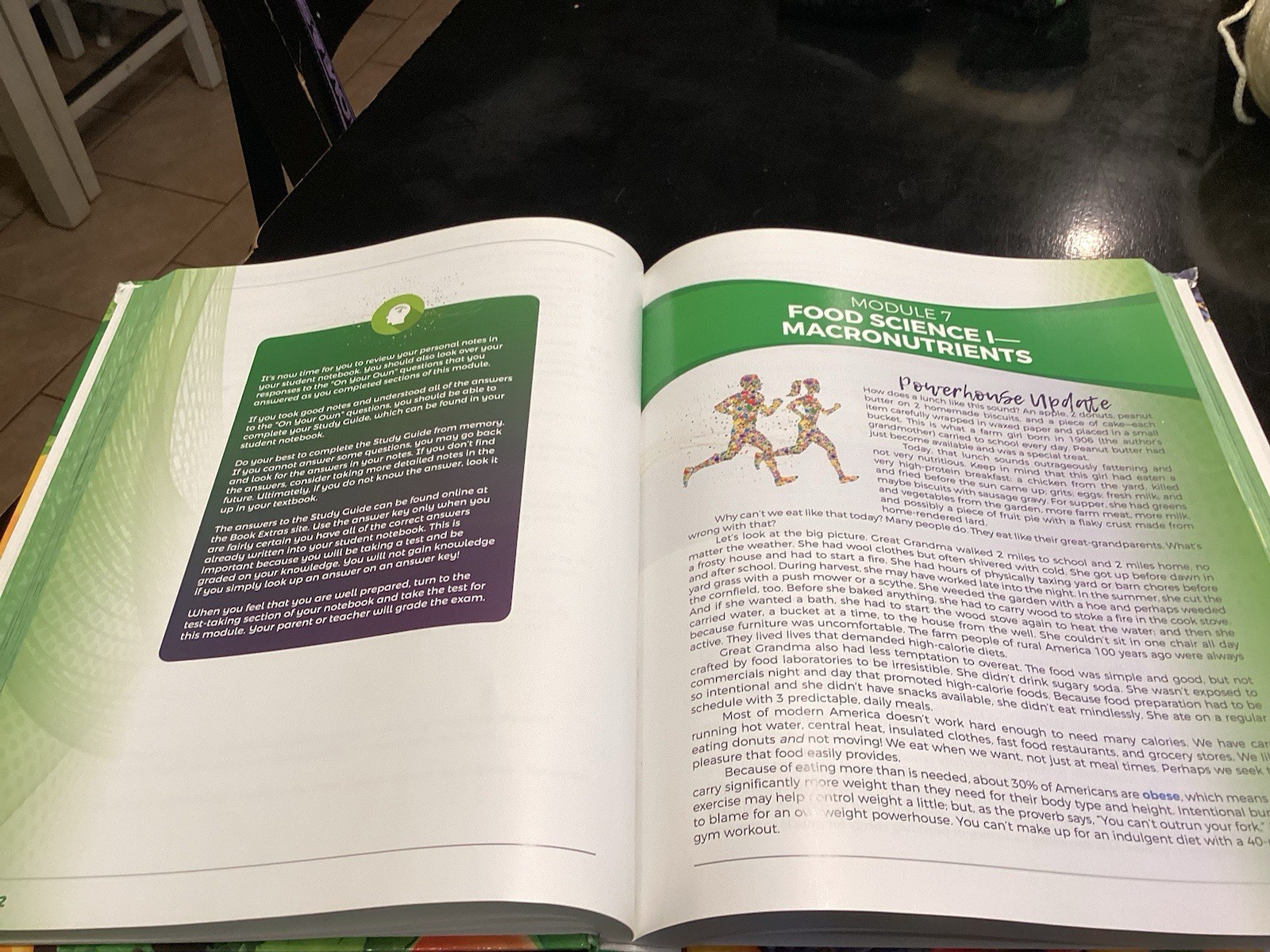 Apologia Exploring Creation with Health and Nutrition Textbook