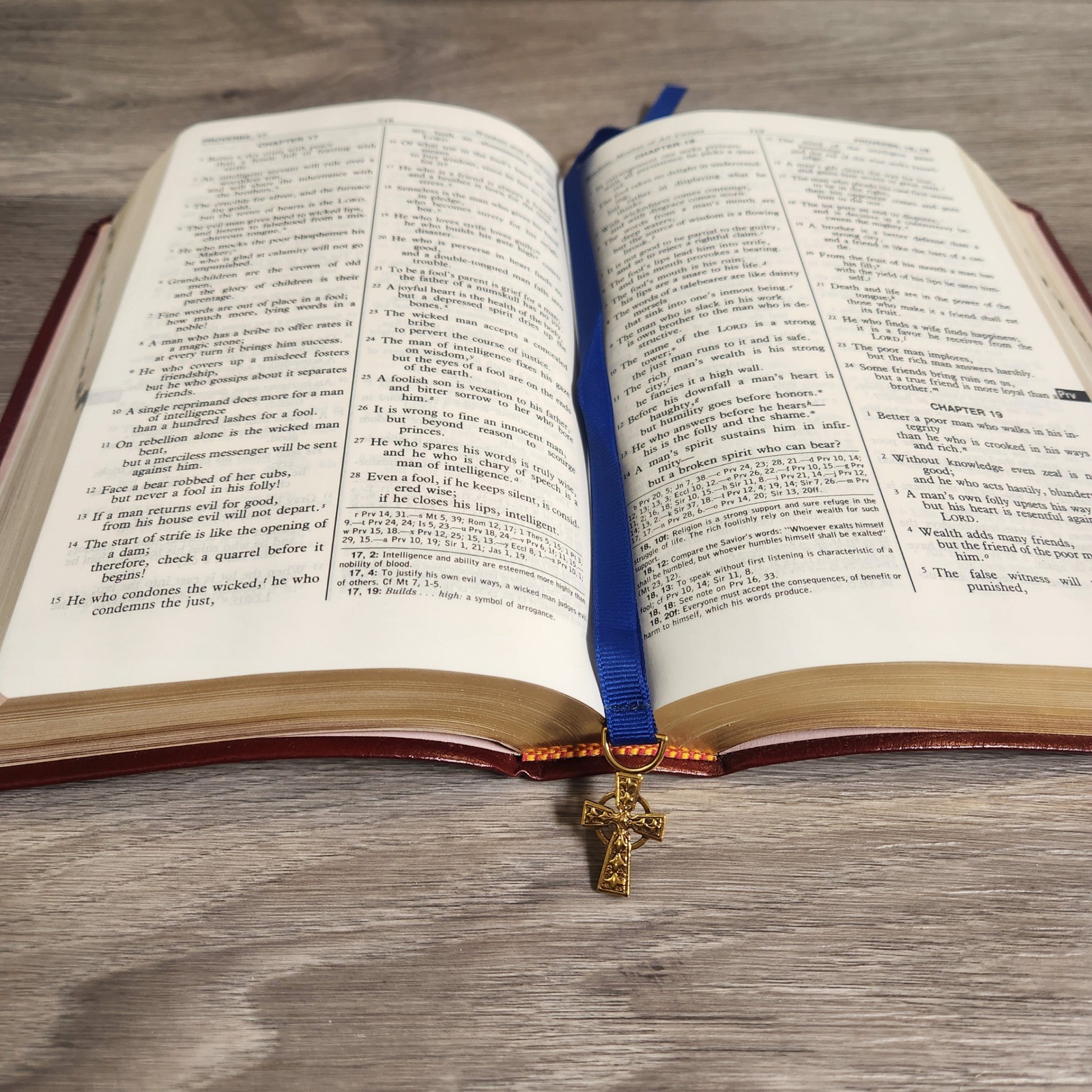 Vintage Saint Joseph New American Bible Red Leather Illustrated Gold Edges Catho