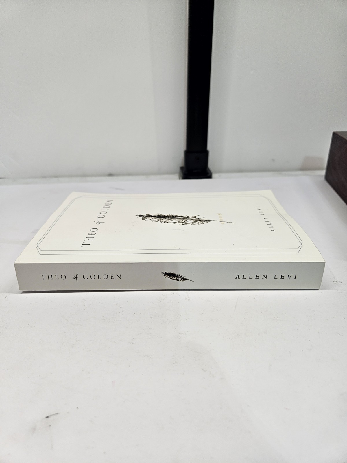 Theo of Golden Allen Levi RARE SELF PUBLISHED 1st Edition – Good Condition