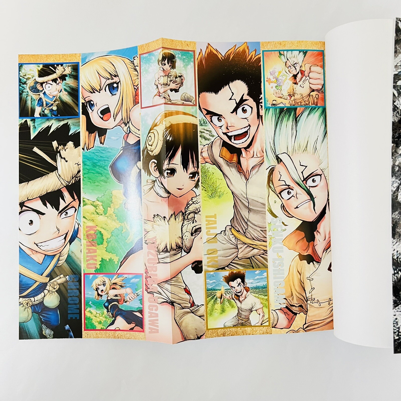 Dr.STONE Official Fan Book Encyclopedia of the Kingdom of Science Japan NEW