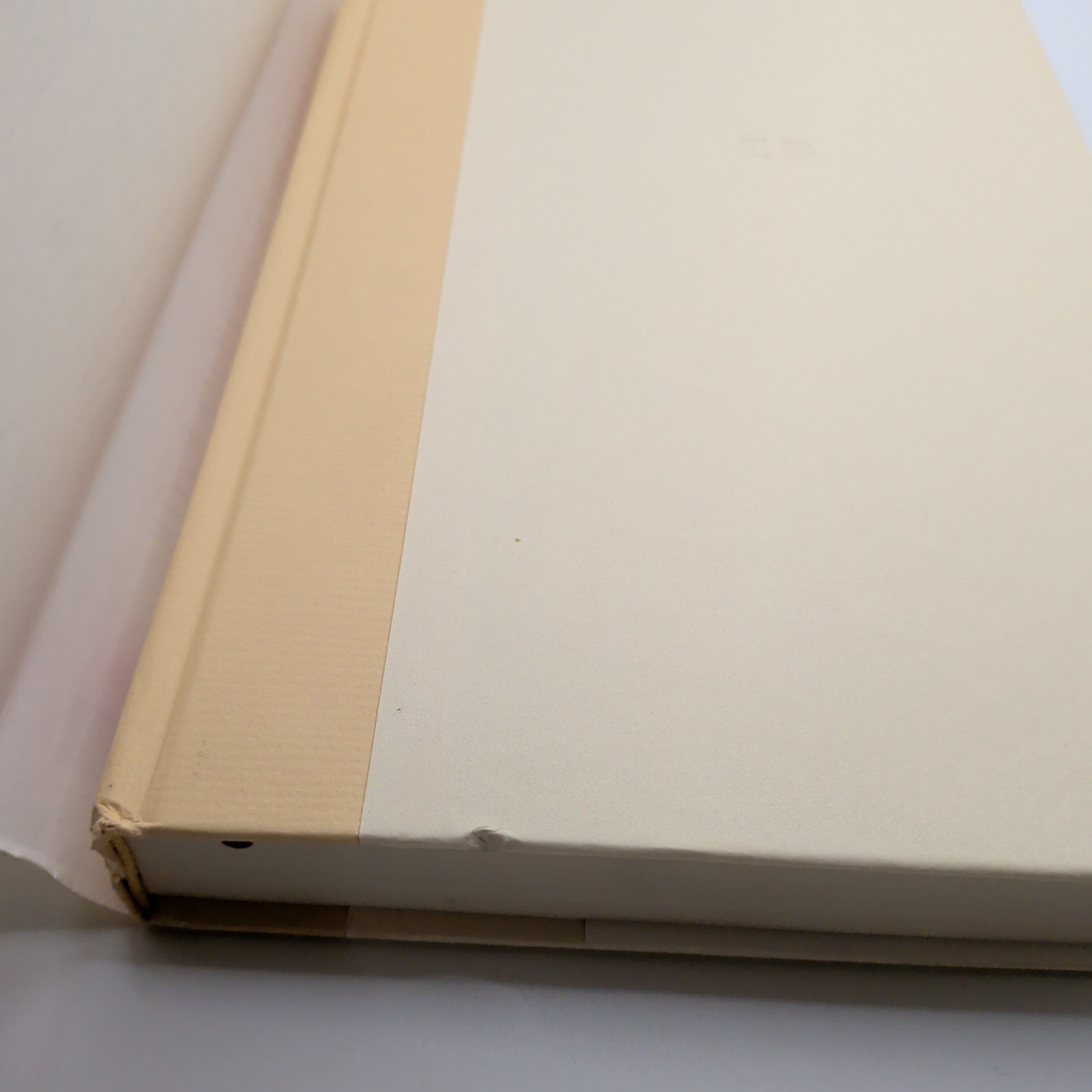 Either Or Elif Batuman Hardcover