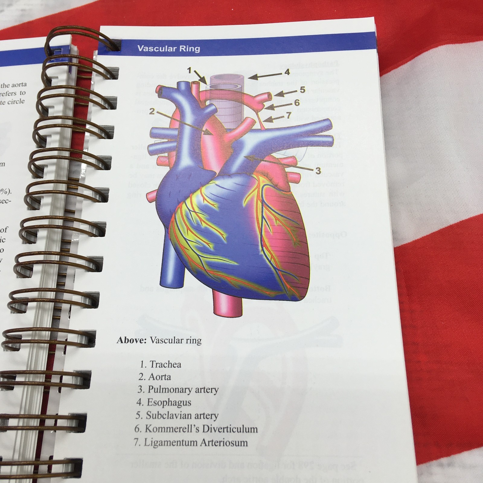 Illustrated Field Guide to Congenital Heart Disease and Repair – 3rd Edition