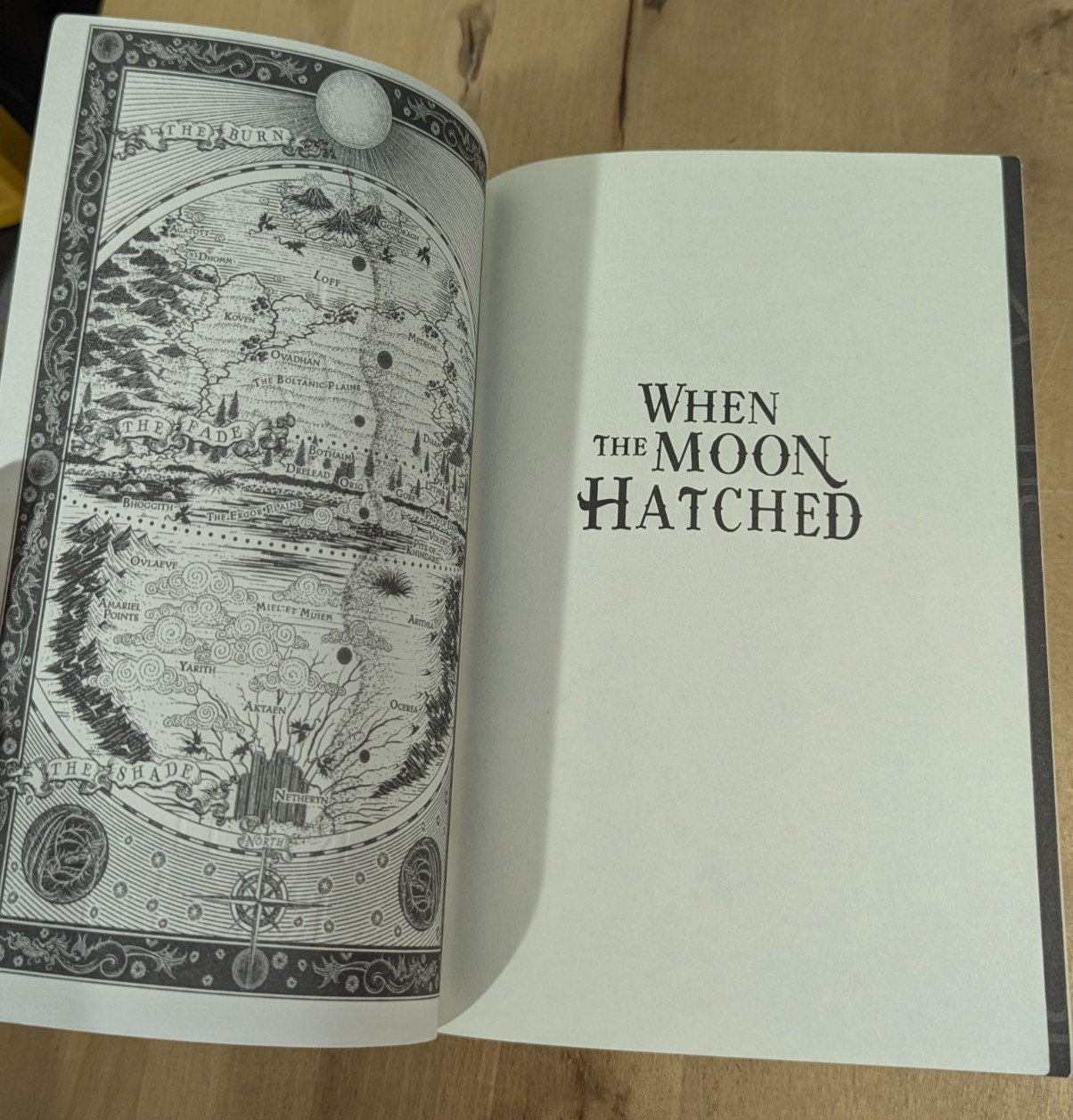 When the Moon Hatched By Sarah A. Parker National Bestseller Paperback