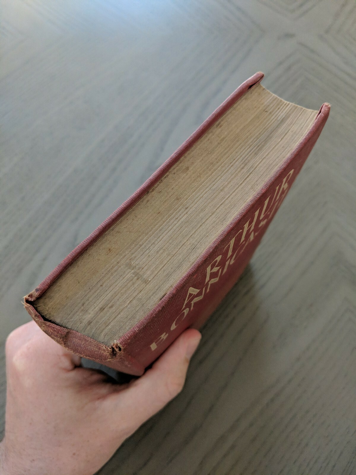 Arthur Bonnicastle (Hardcover 1905) J.G. Holland Charles Scribner’s Sons