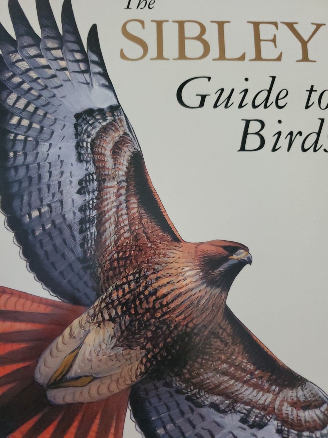 The North American Bird Guide By David Sibley Flex Cover 544 pages