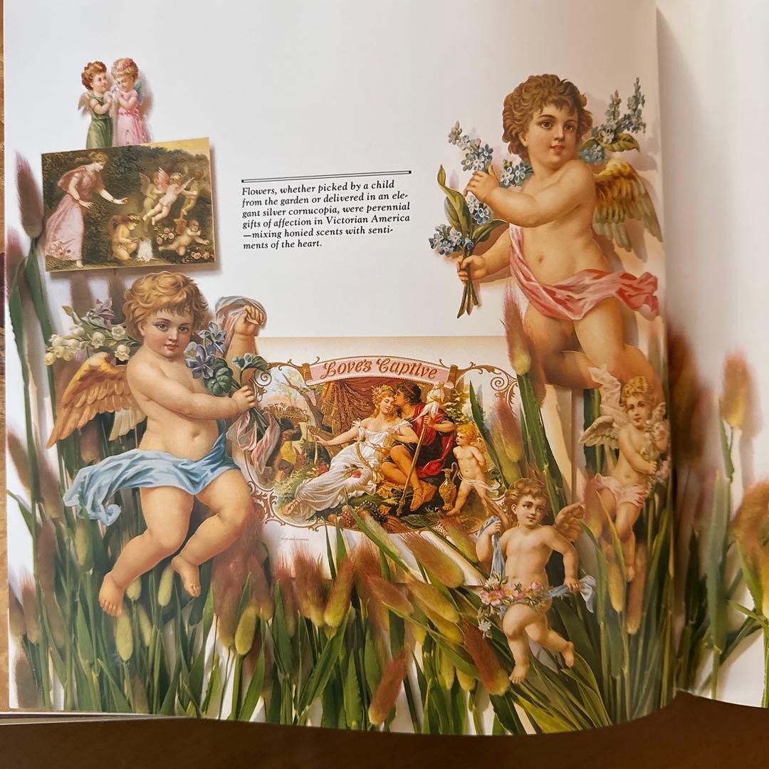 Victorian Scrapbook 152 Pages 10.3in x 10.3in Color Illustrations English Book
