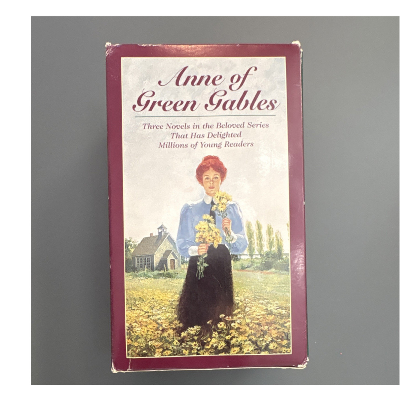 Anne of Green Gables 3 Book Box Set L.M. Montgomery Vintage Collector Edition