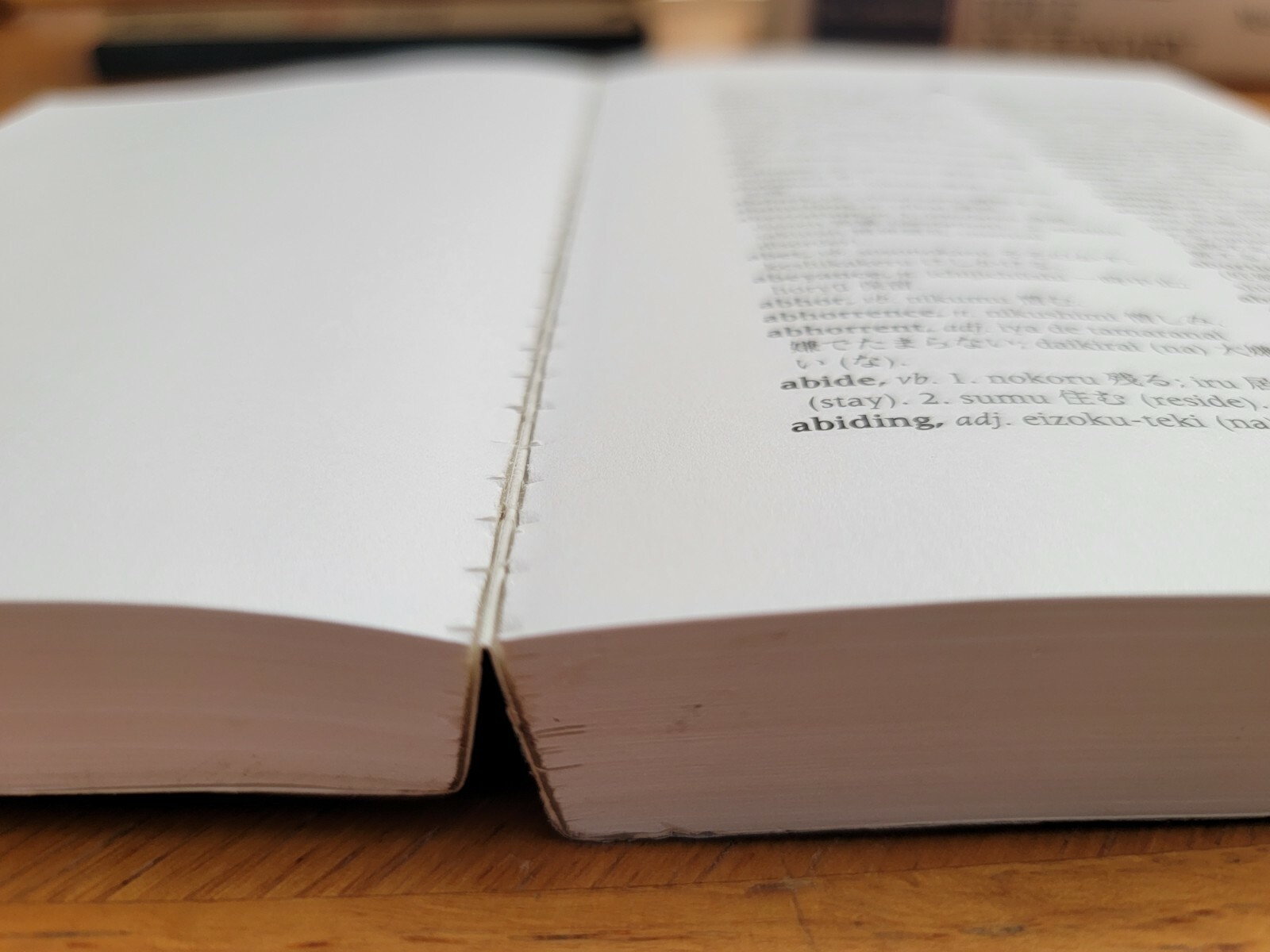 Japanese-English English-Japanese Dictionary, Seigo Nakao