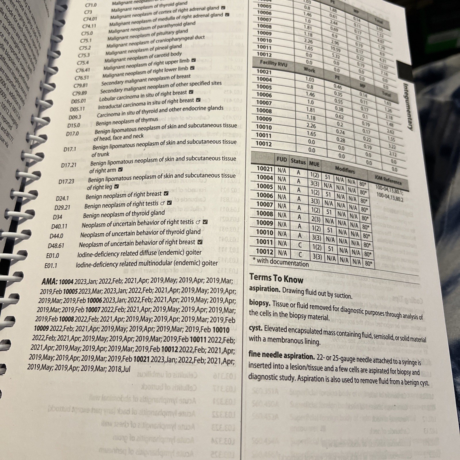 2024 Coding Companion for Internal Medicine/Endocrinology/Rheumat