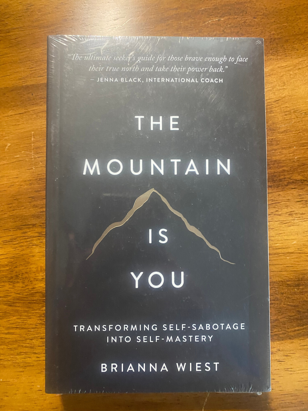 The Mountain is You by Brianna Wiest 2020 Paperback NEW SEALED Self-Sabotage