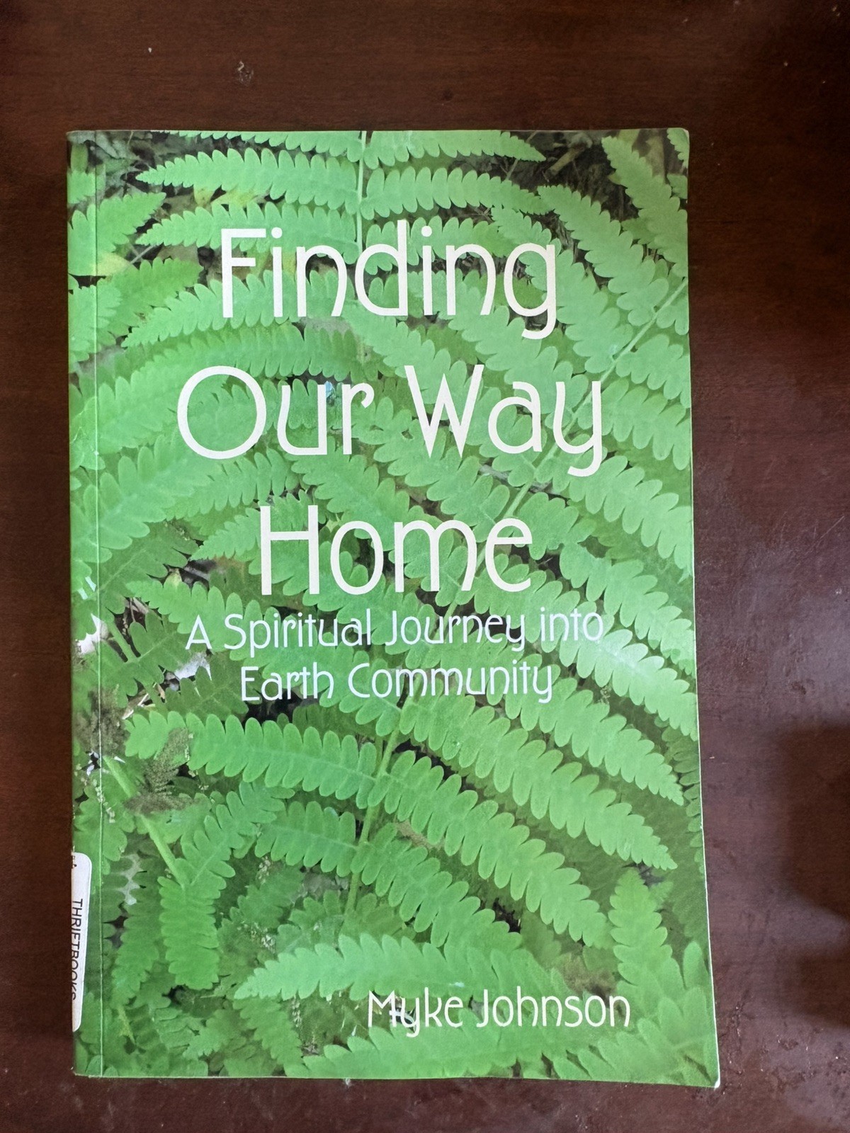 Finding Our Way Home by Johnson, Myke
