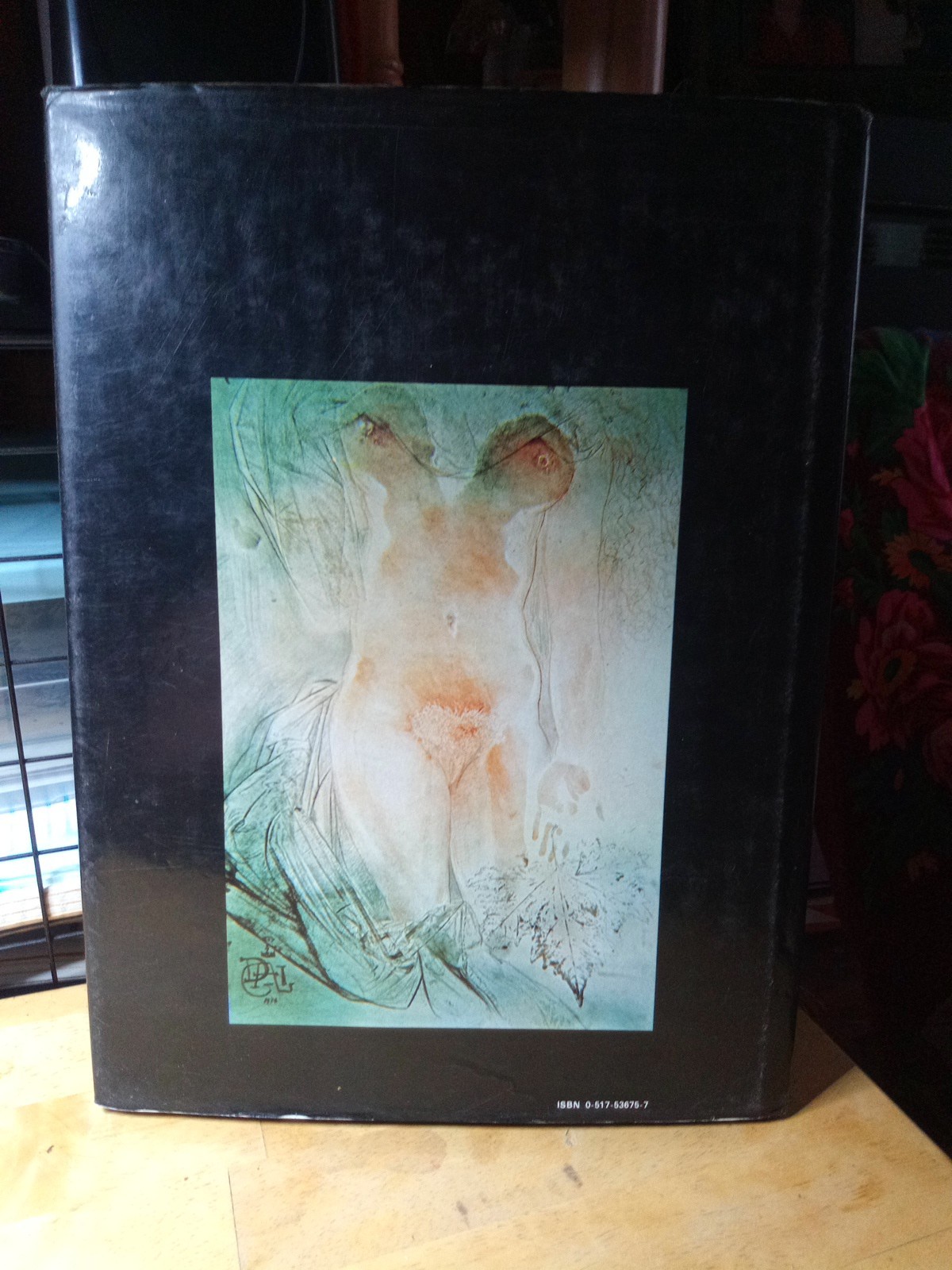 Dali Surrealist Artist Maddox Conroy Random House 1979 Hardcover DJ 1st