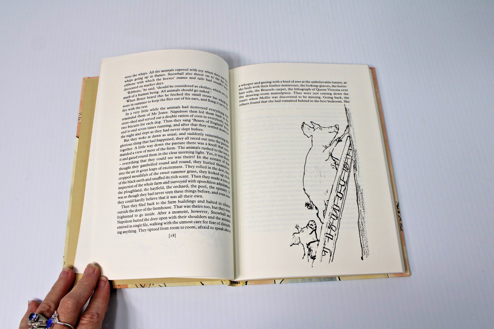 George Orwell: Animal Farm, London Folio Society Edition, Slipcase 1984 Printing