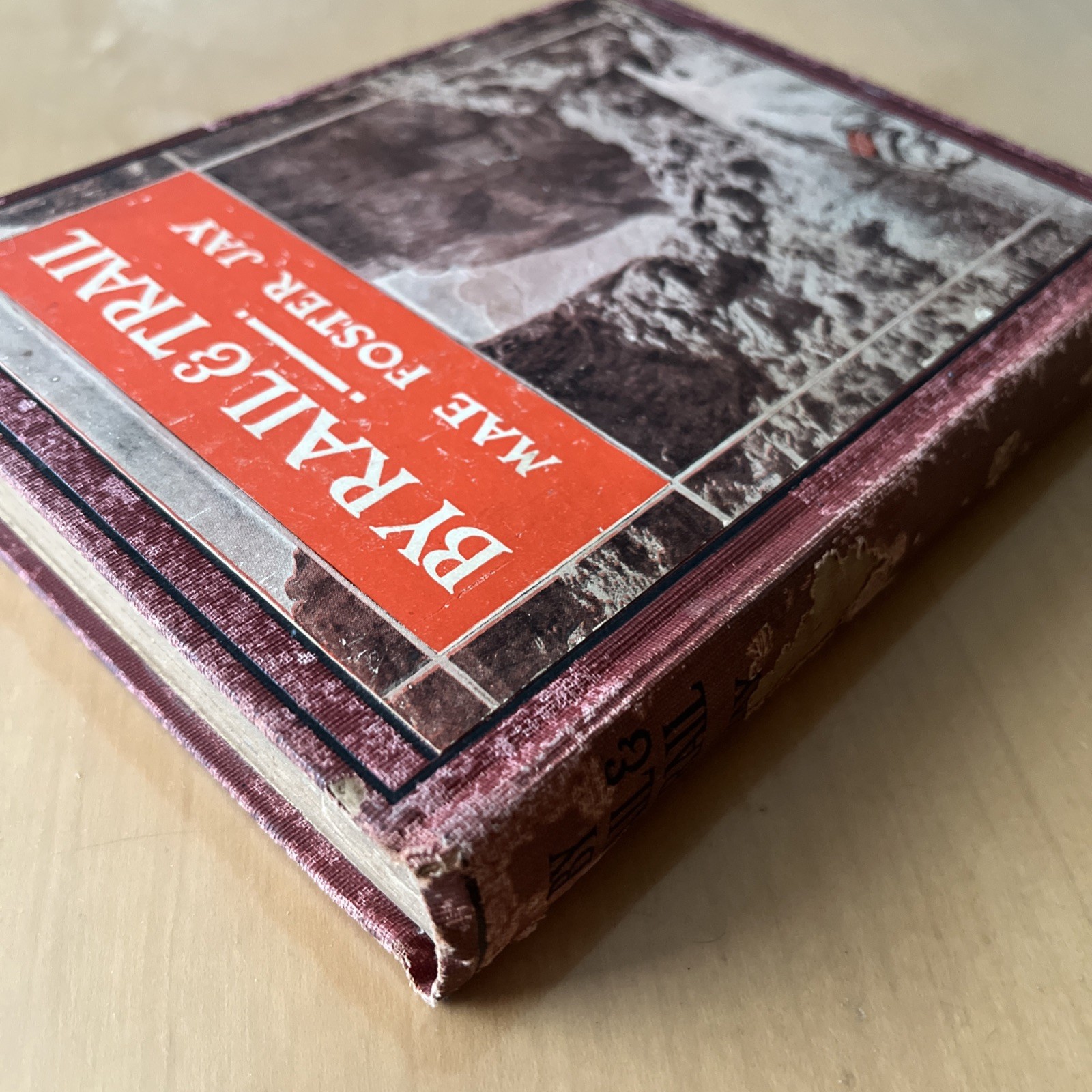 By Rail And Trail Mae Foster JAY 1st Edition 1928 Illustrated Hardcover