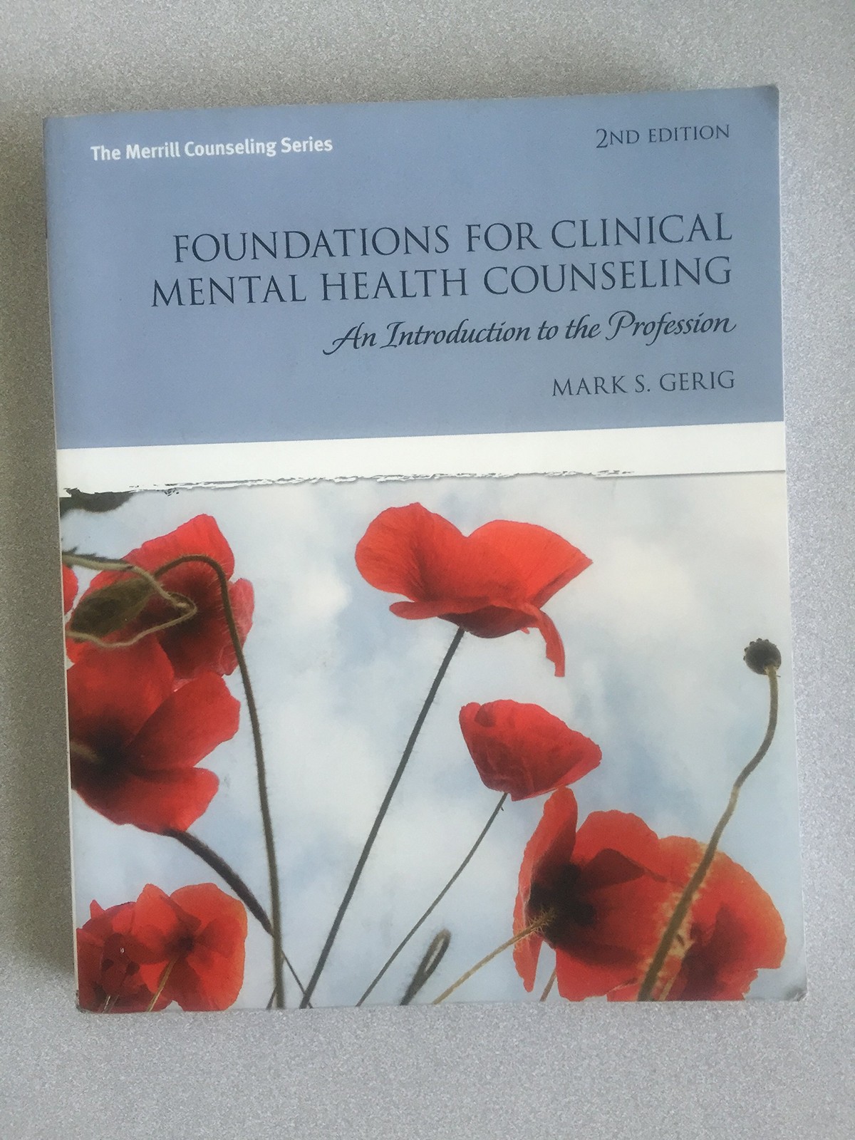Foundations for Clinical Mental Health Counseling by Mark S Gerig