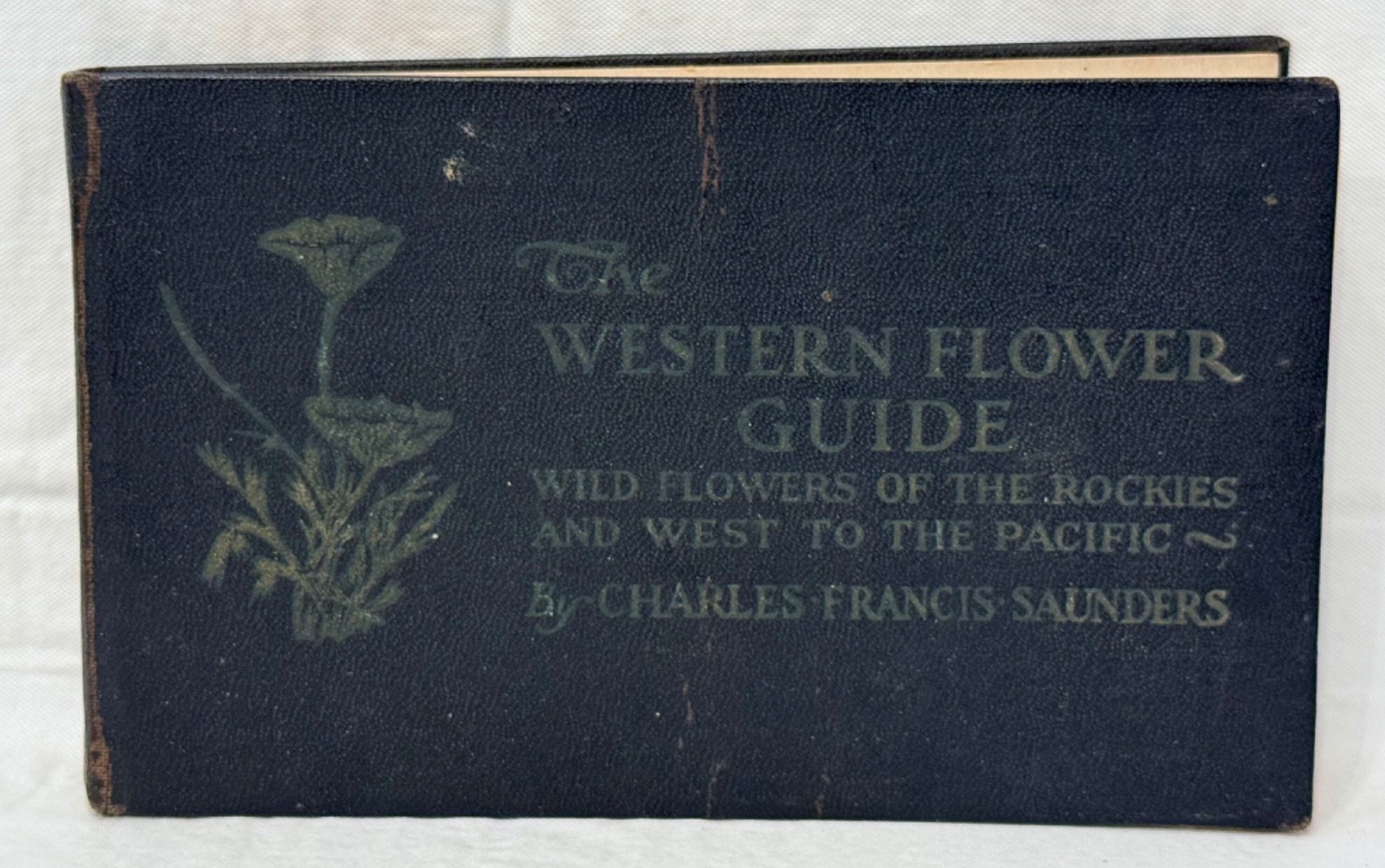 Antique 1922 The Western Flower Guide Soft Cover Charles Francis Saunders