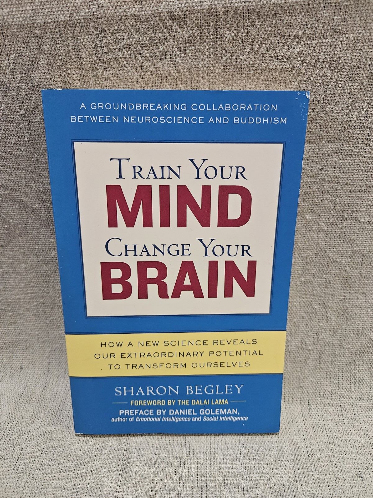 Train Your Mind Change Your Brain – Sharon Begley