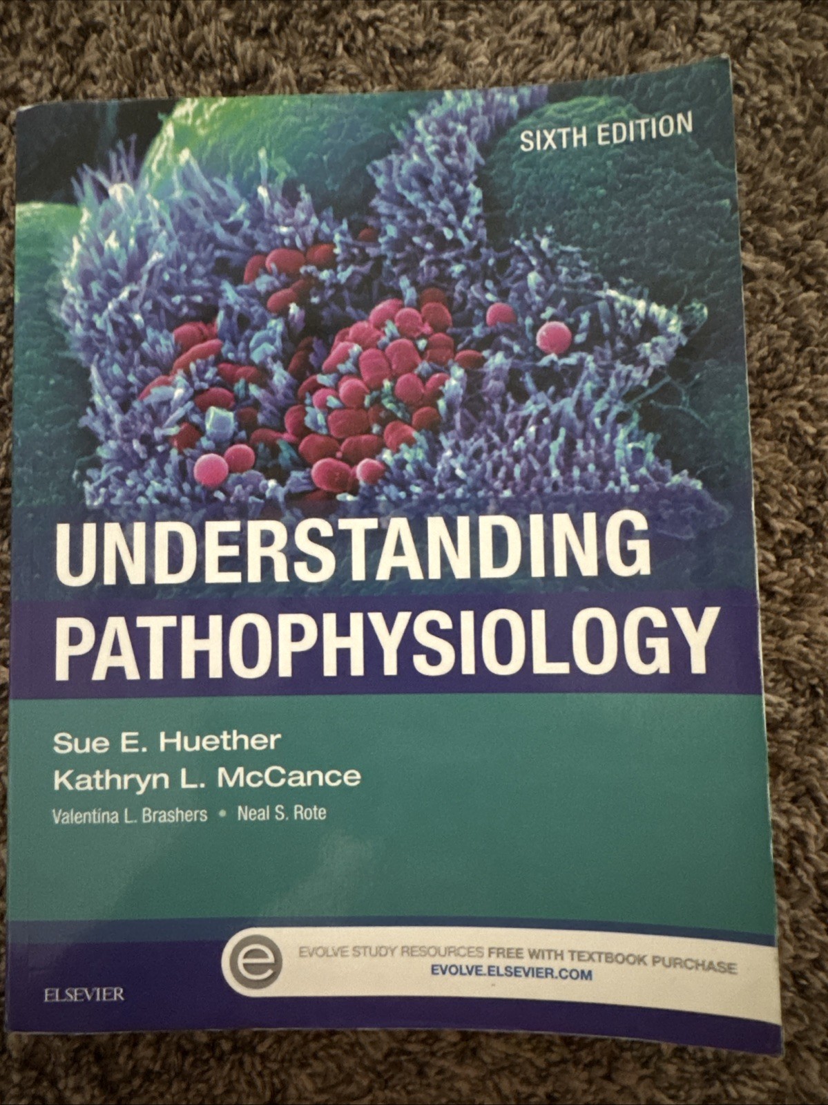 Understanding Pathophysiology 6th Edition McCance and Huether