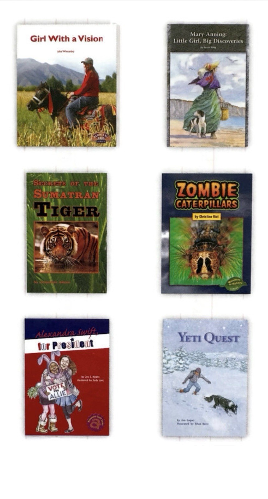Set of 25 FOUNTAS & PINNELL Red LLI Levels O & Q Lessons 165-192 Leveled Readers