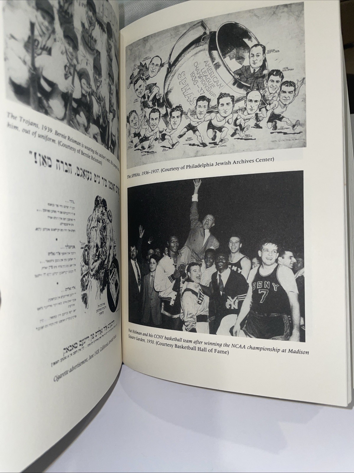 Ellis Island to Ebbets Field Sport &American Jewish Exp Peter Levine HCDJ 1992