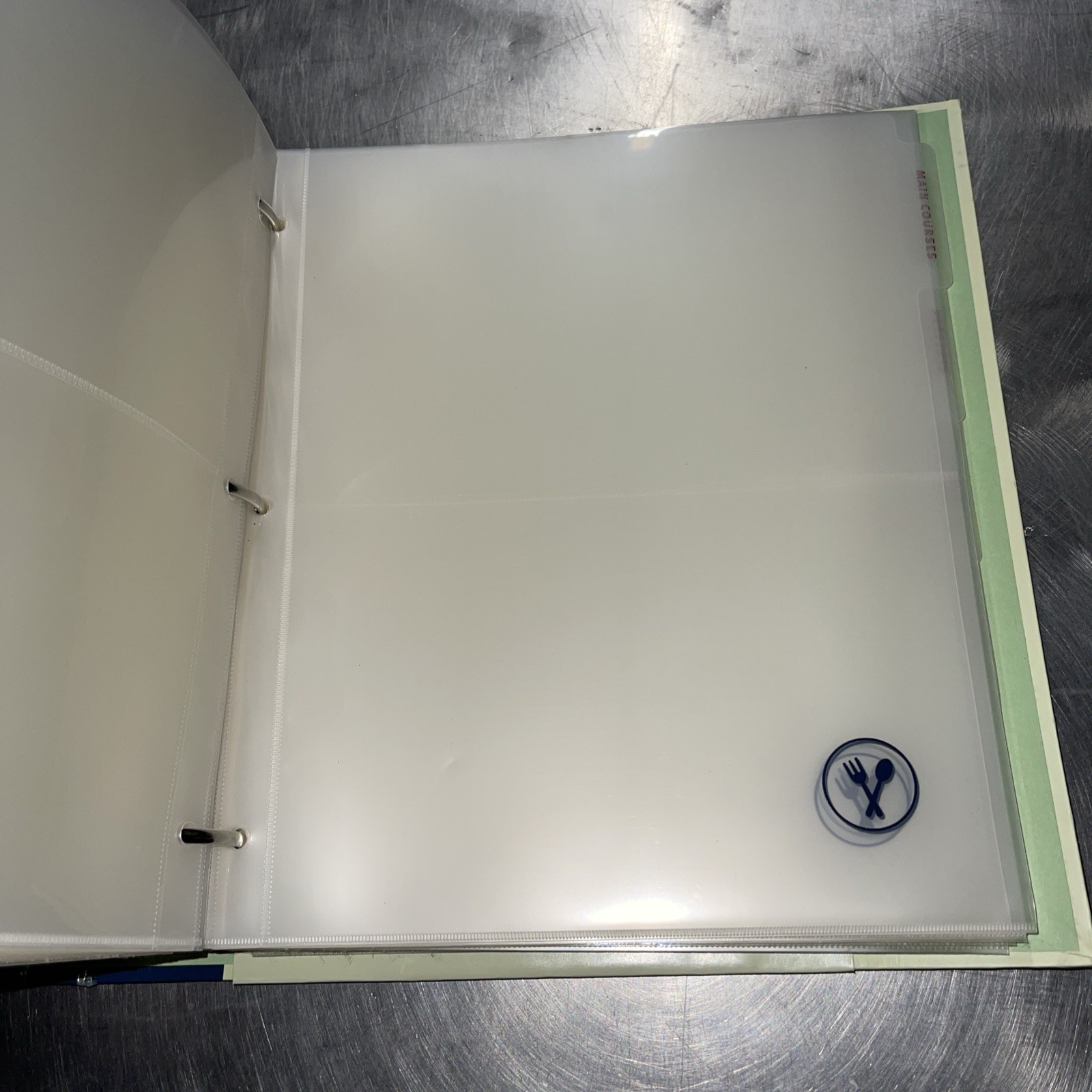 FAMILY FACTS RECIPE ORGANIZER & PARTY PLANNER BINDER By Pam Socolow Un-Used