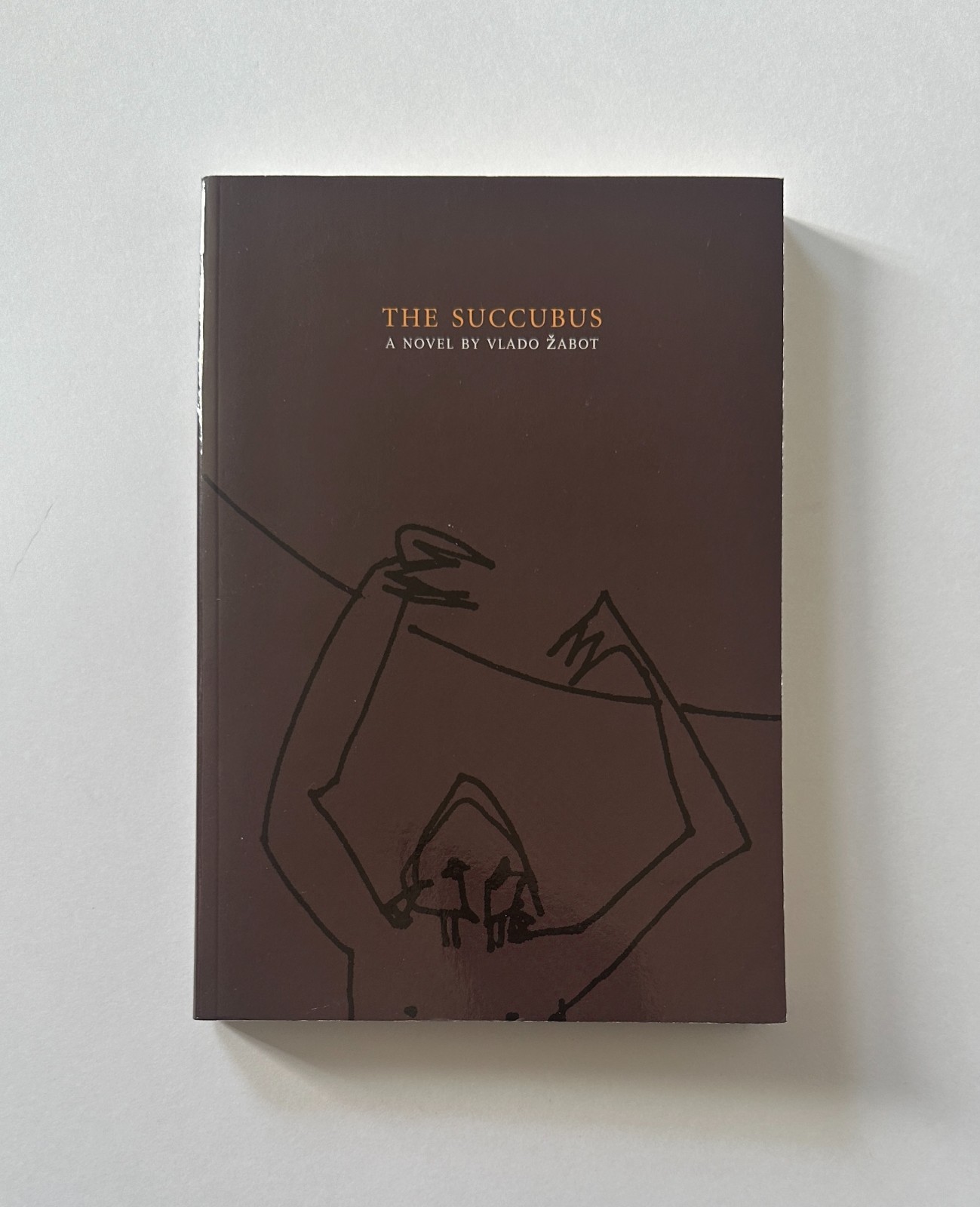 VLADO ŽABOT The Succubus | 2010 Dalkey Archive Press Trade Paperback