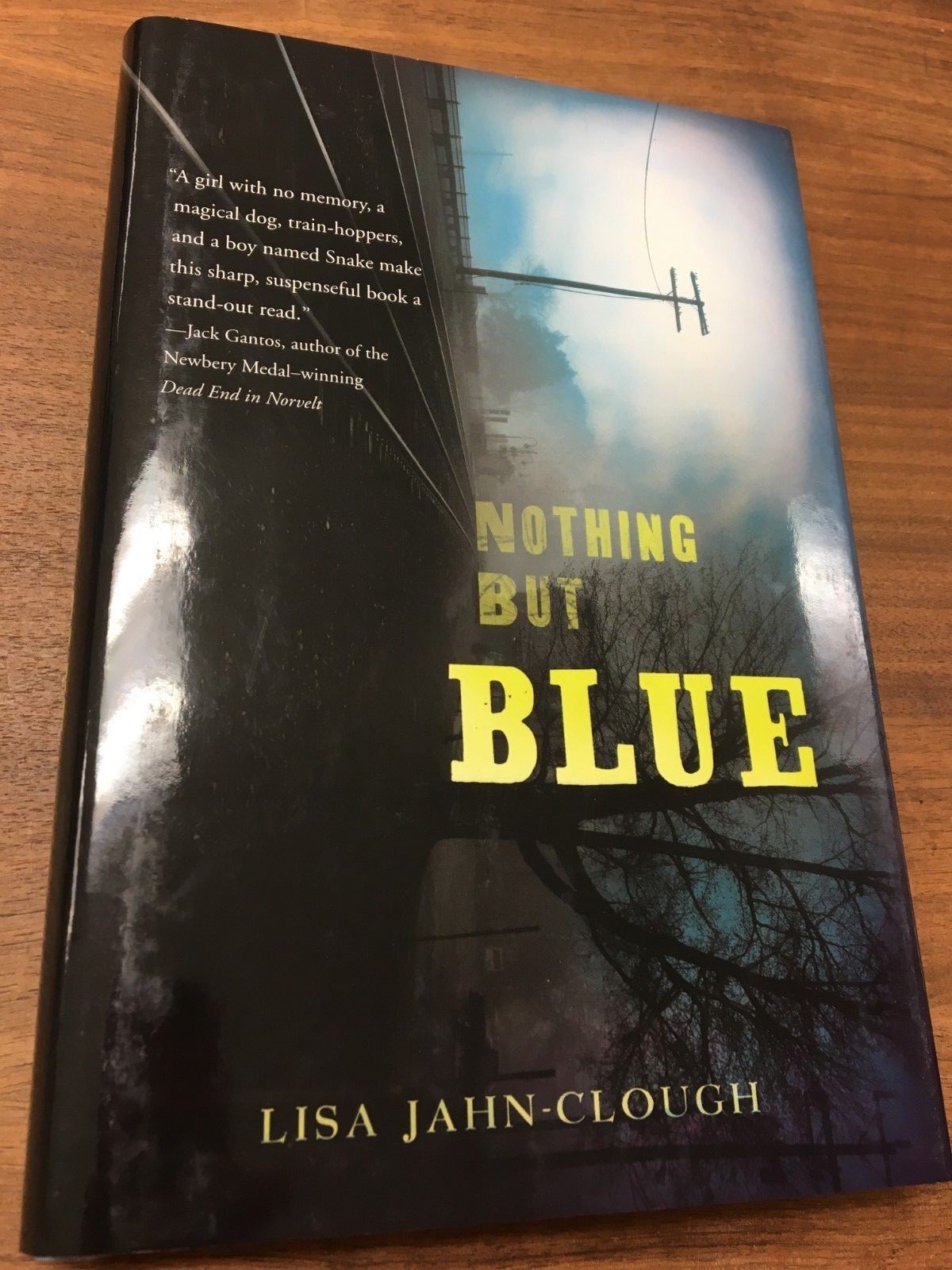 Nothing but Blue by Lisa Jahn-Clough (2013, Hardcover, 214 pages)