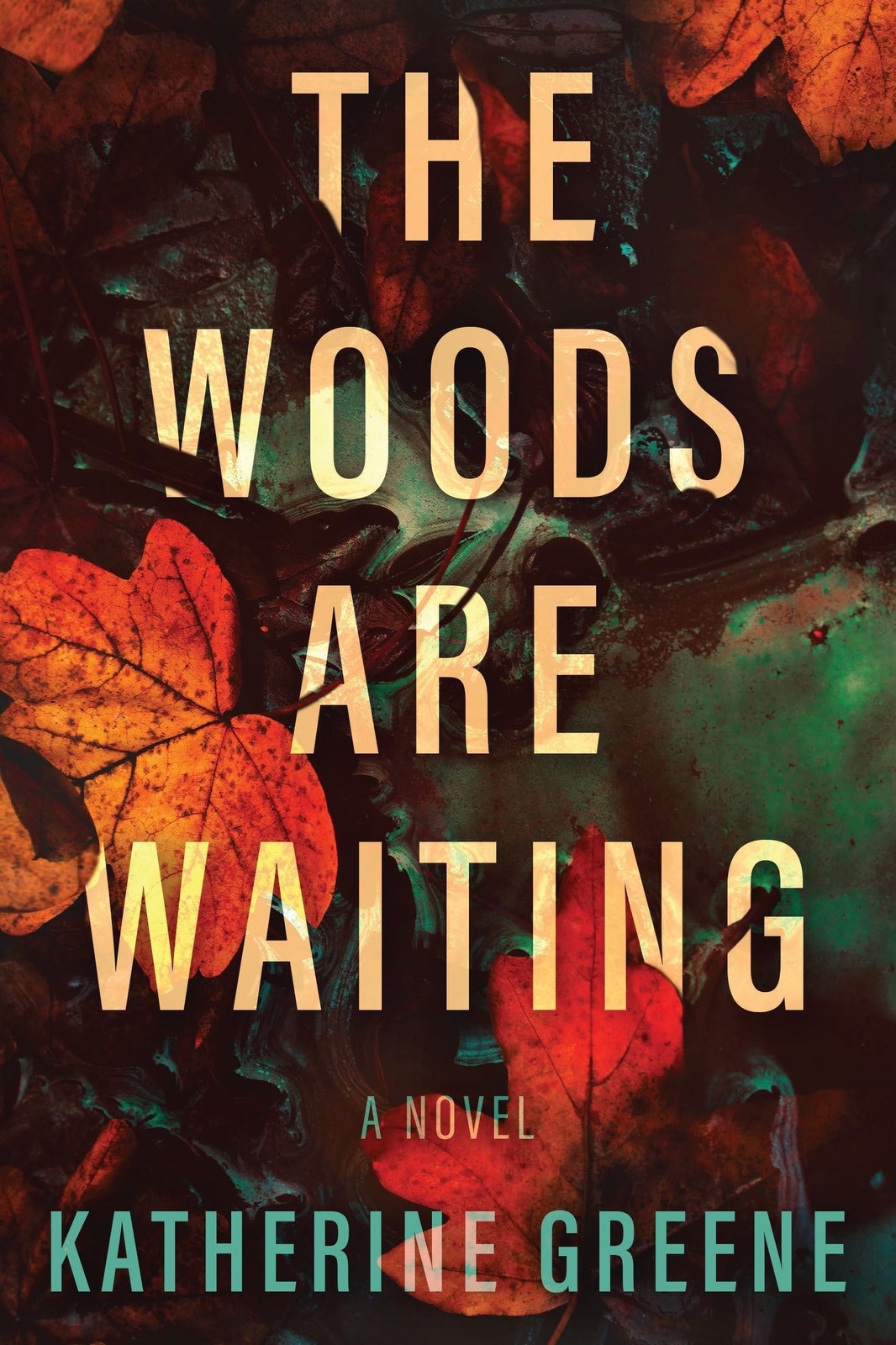 The Woods are Waiting: A Novel, Greene, Katherine, Excellent Book