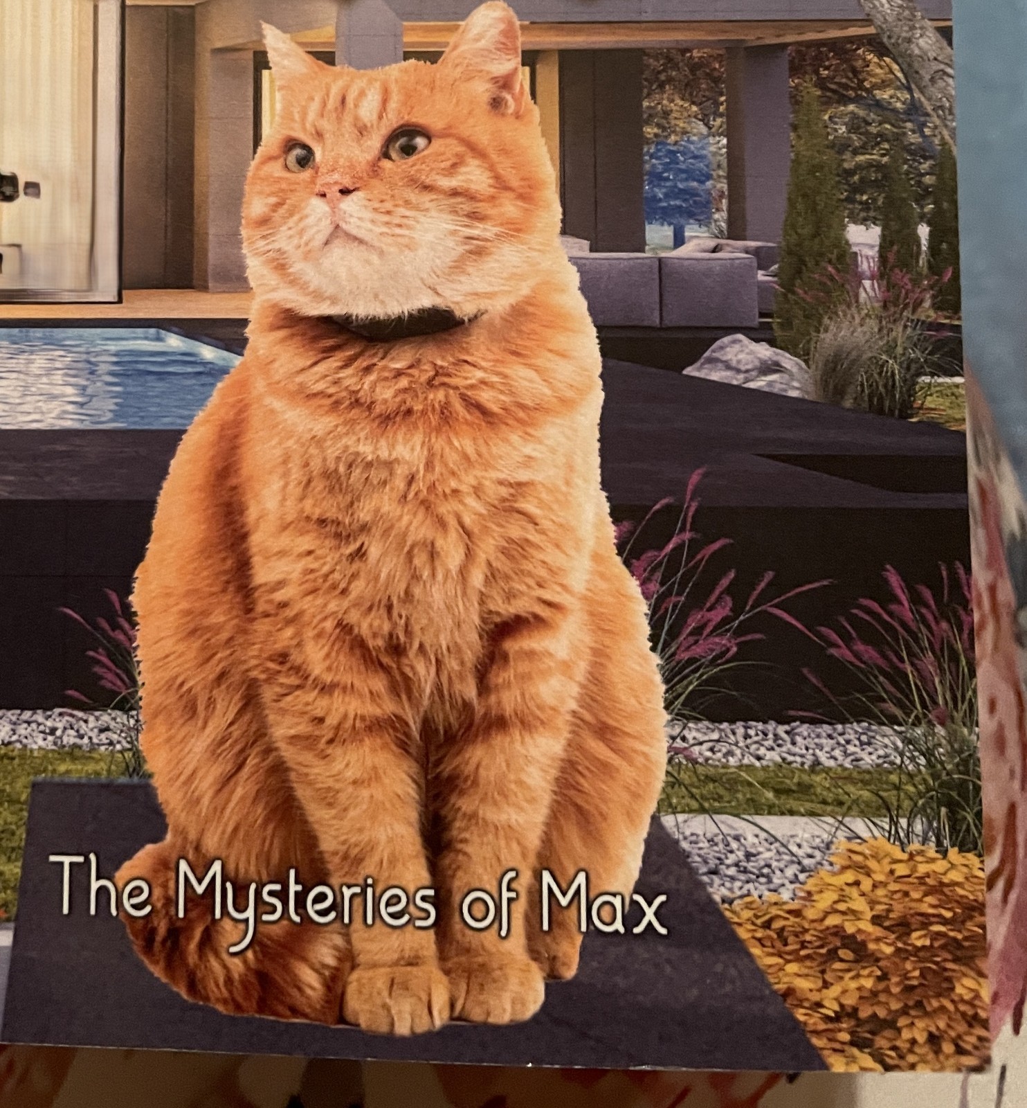 PURRFECT SWING The Mysteries of Max Book #34 ‎ by Nic Saint – NEW – 198 Pages