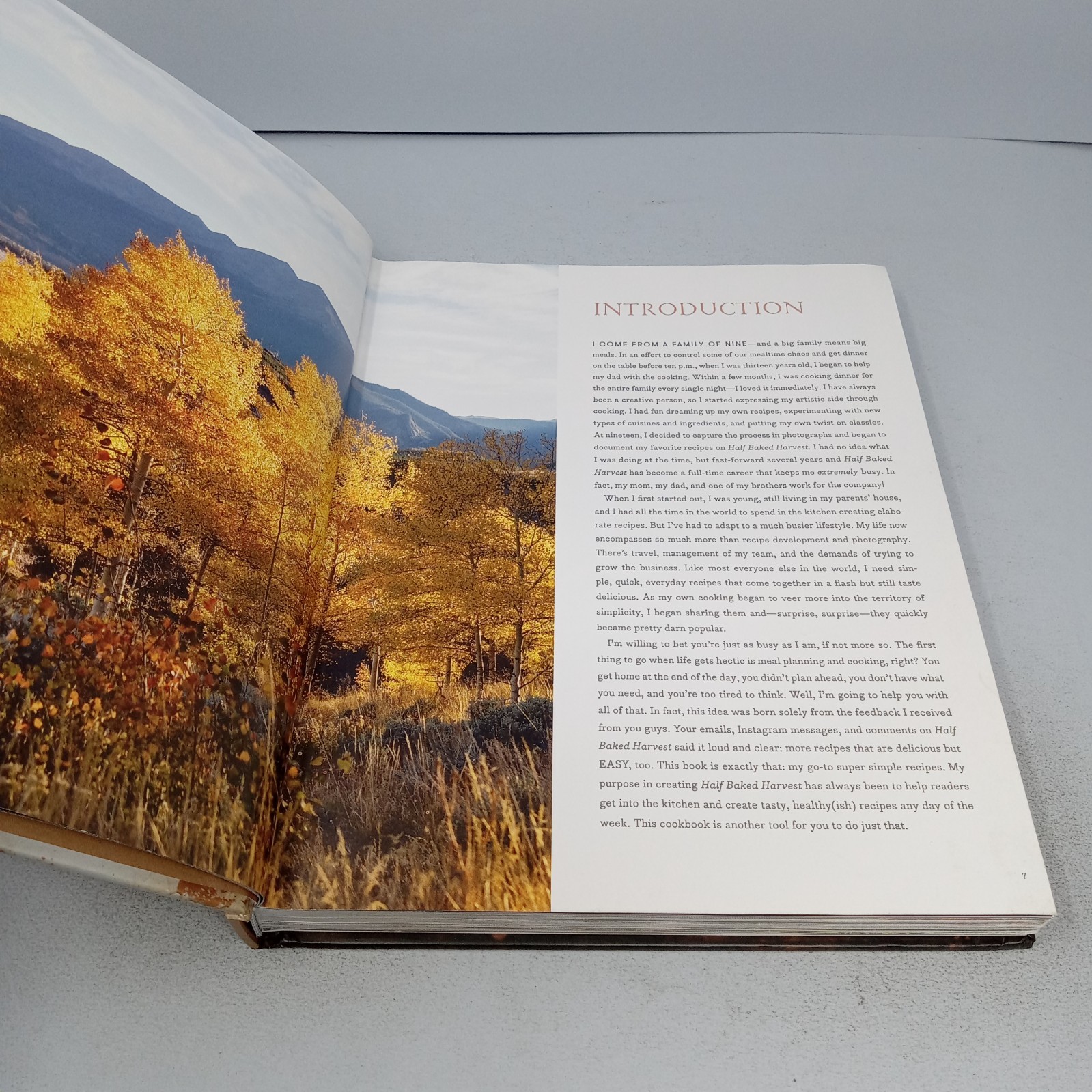 Half Baked Harvest Super Simple 2019 Clarkson Potter Hardcover by Tieghan Gerard