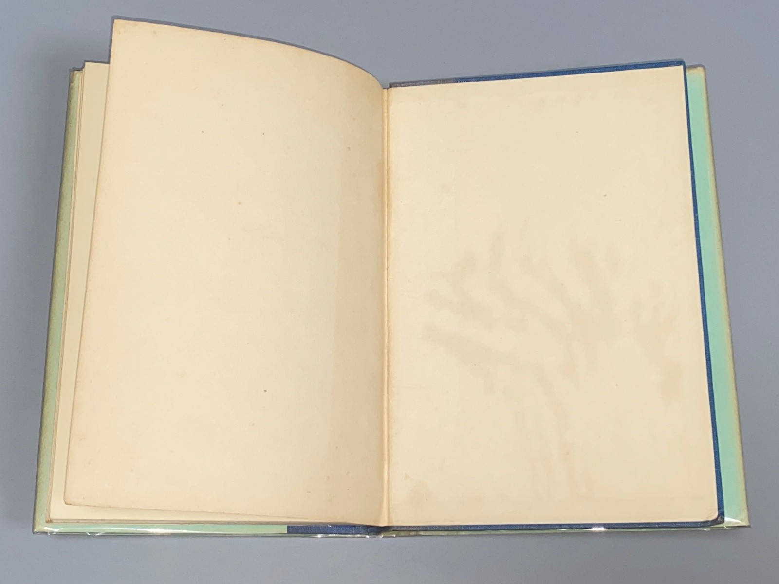 WINNIE-THE-POOH – A.A Milne [136] Illustrated Ernest H. Shepard with dust jacket