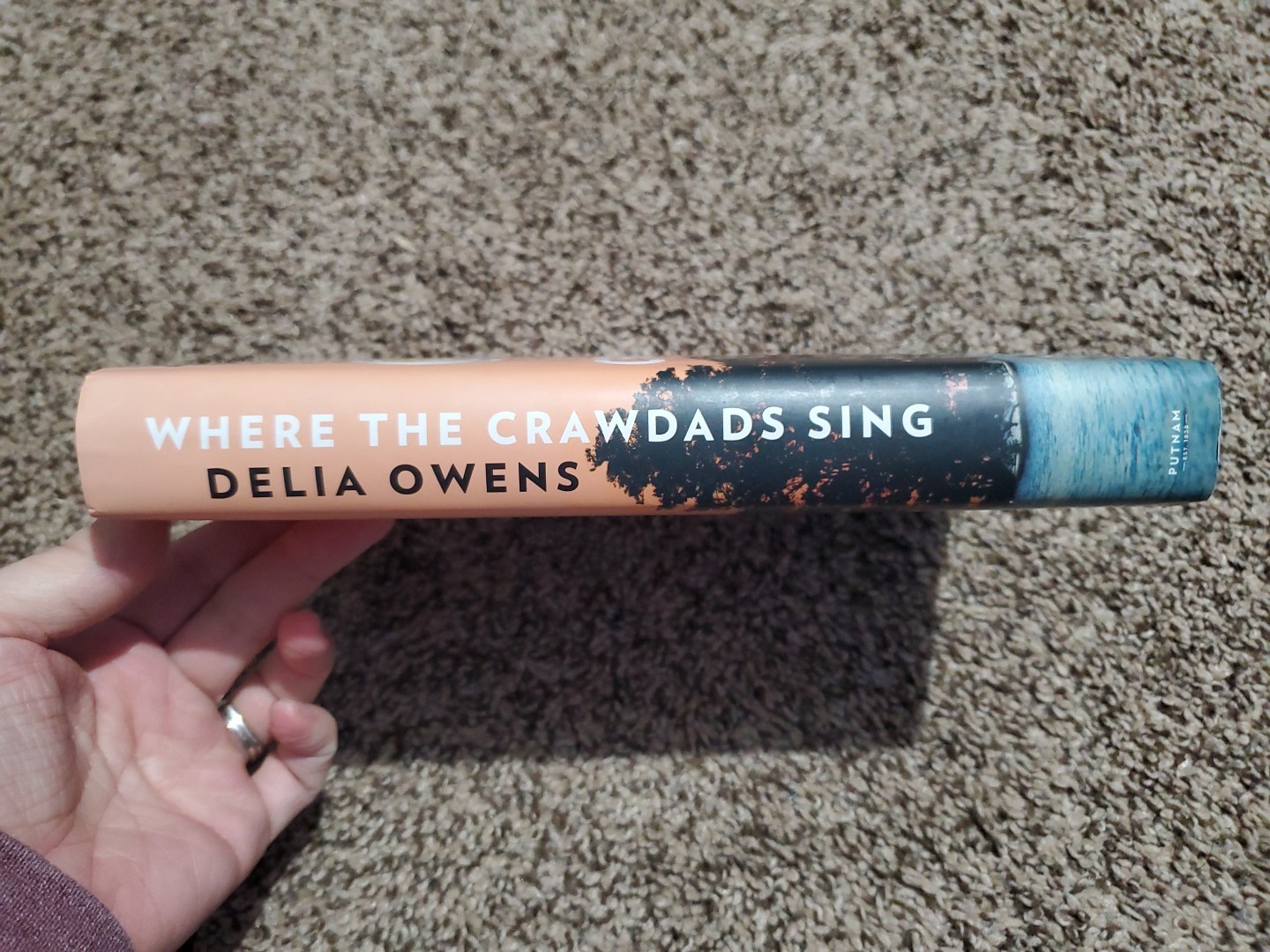 Where the Crawdads Sing: Reese’s Book Club by Delia Owens (2018, Hardcover)