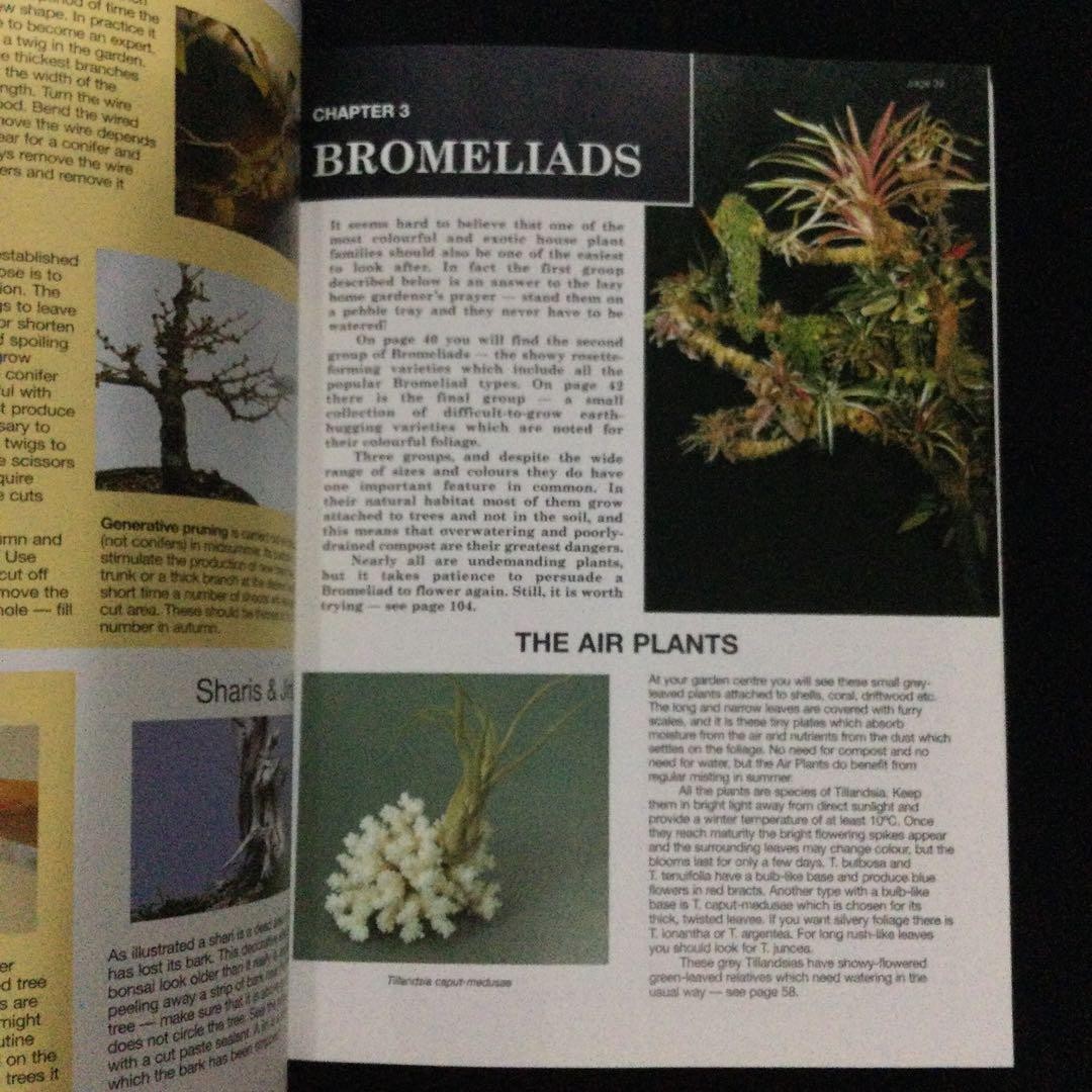 The House Plant Expert Dr. 128 Pages Gardening Plants English Book 9.5×7.1in
