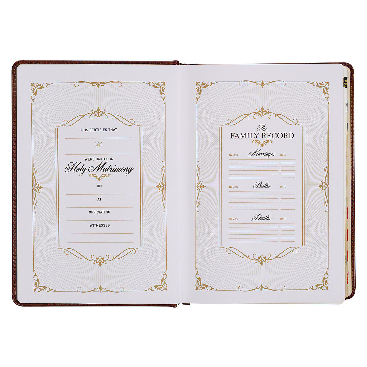 The Holy Bible King James Version Study Bible Indexed Toffee/Burgandy Hardcover