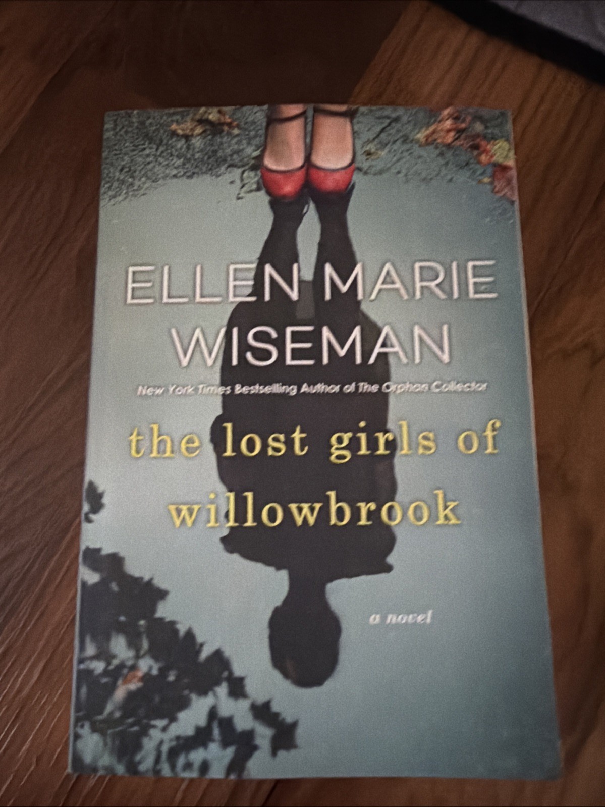 Lost Girls of Willowbrook : A Heartbreaking Novel of Survival Based on True…
