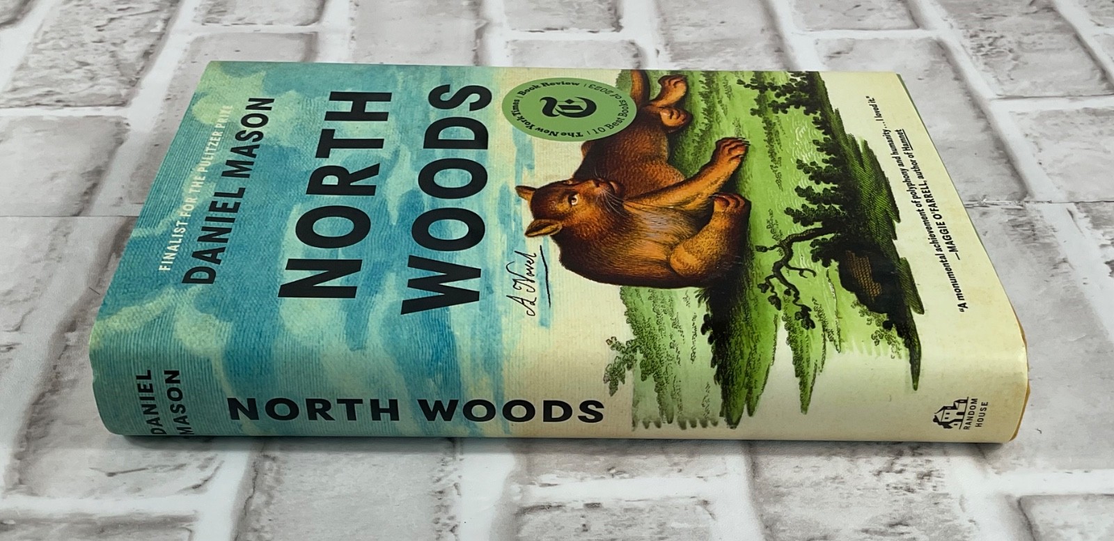 North Woods : A Novel by Daniel Mason (2023, Hardcover)