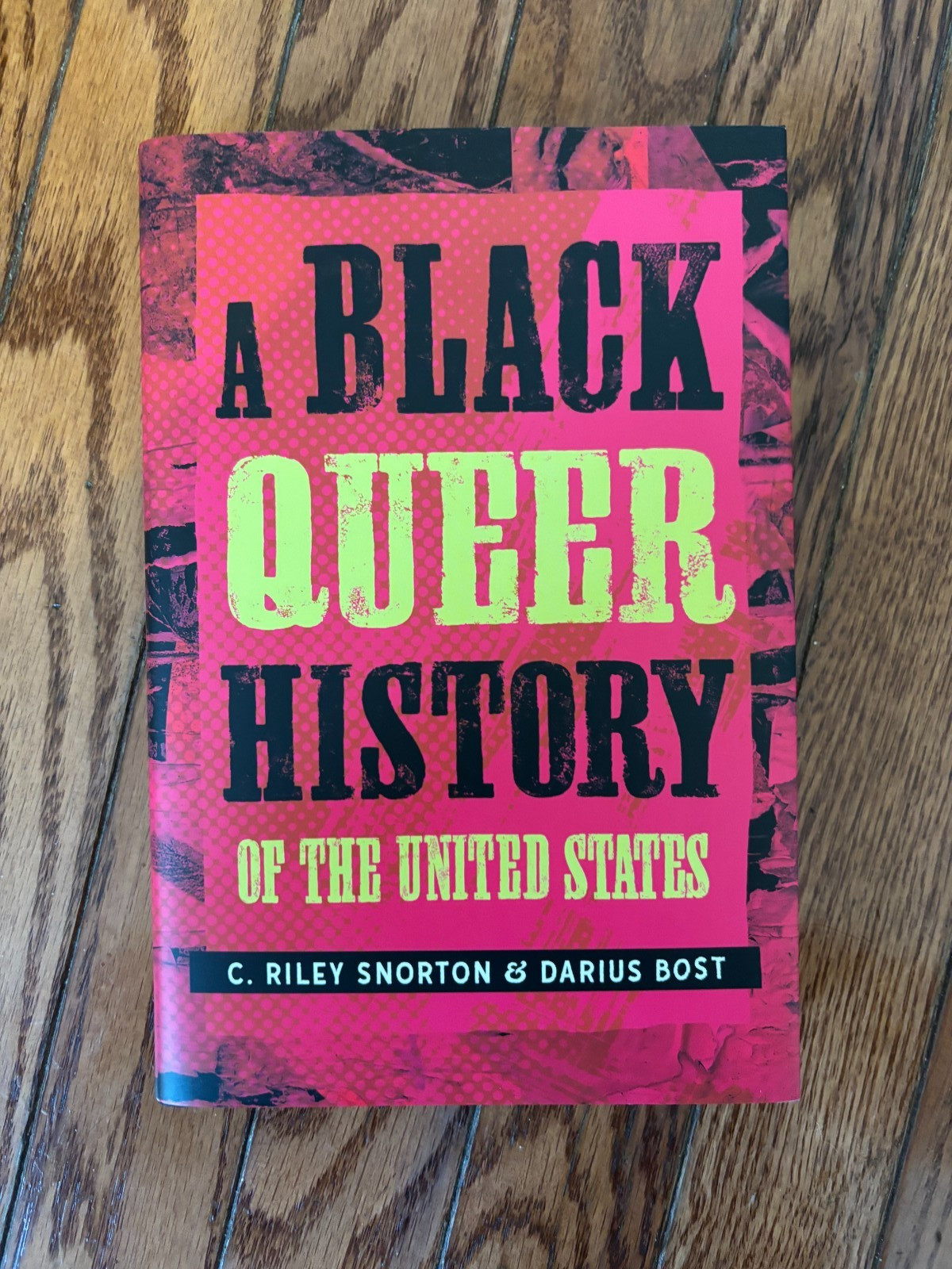 Black Queer History of the United States, Darius Bost and C. Riley Snorton – New