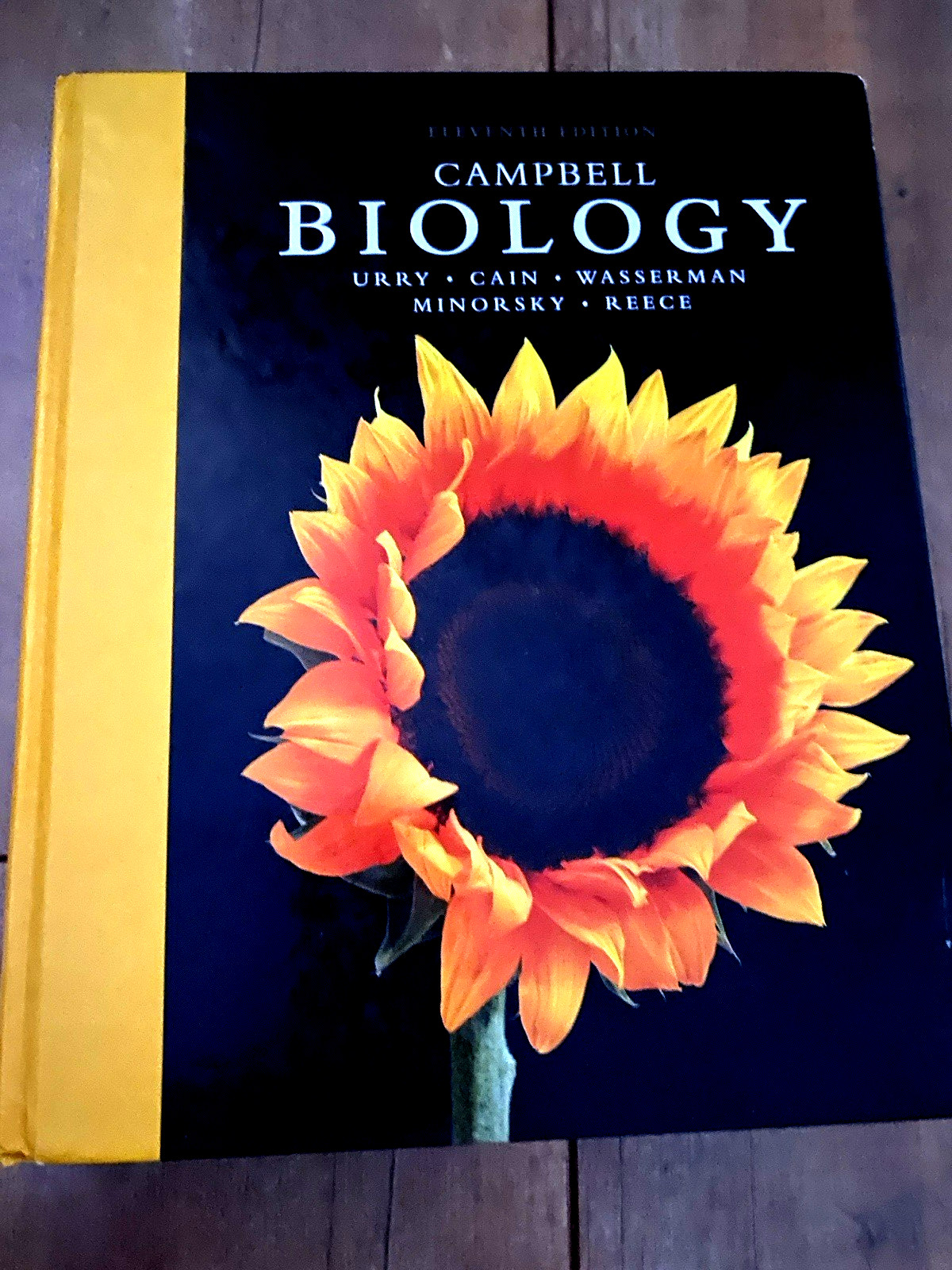 Campbell Biology Ser.: Campbell Biology by Lisa Urry, Steven Wasserman, Michael