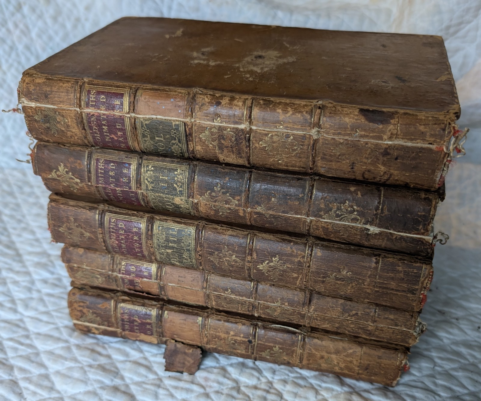 1776 An HISTORY Of The EARTH and ANIMATED NATURE by Oliver Goldsmith 5 VOLUMES
