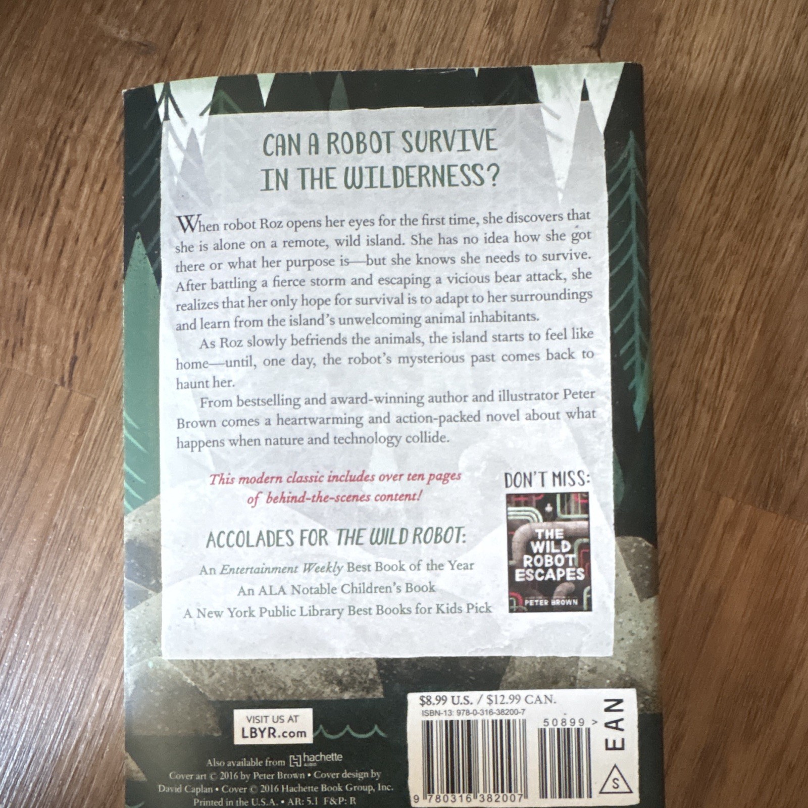 The Wild Robot by Peter Brown Paperback Novel The Wild Robot Series Ages 9-12
