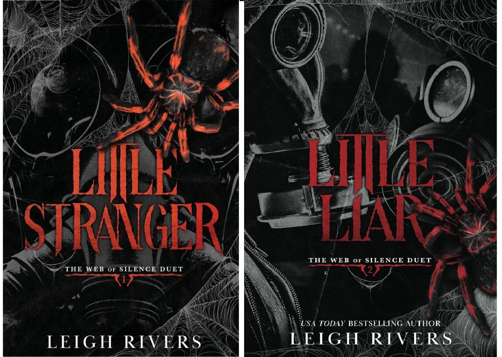 Leigh Rivers 2-Book Set Little Stranger & Little Liar English Paperback
