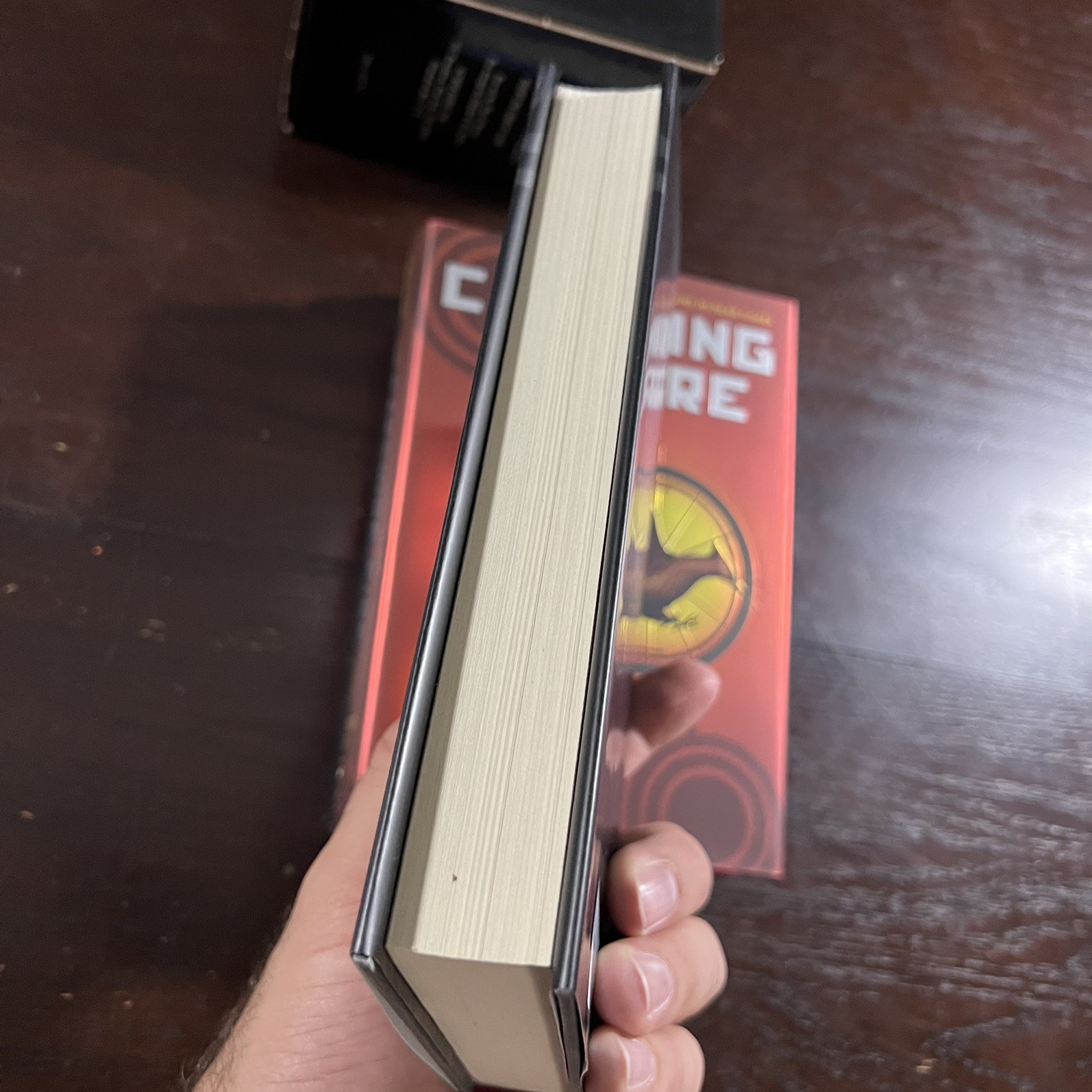 Suzanne Collins The Hunger Games Trilogy Boxed Set First Edition