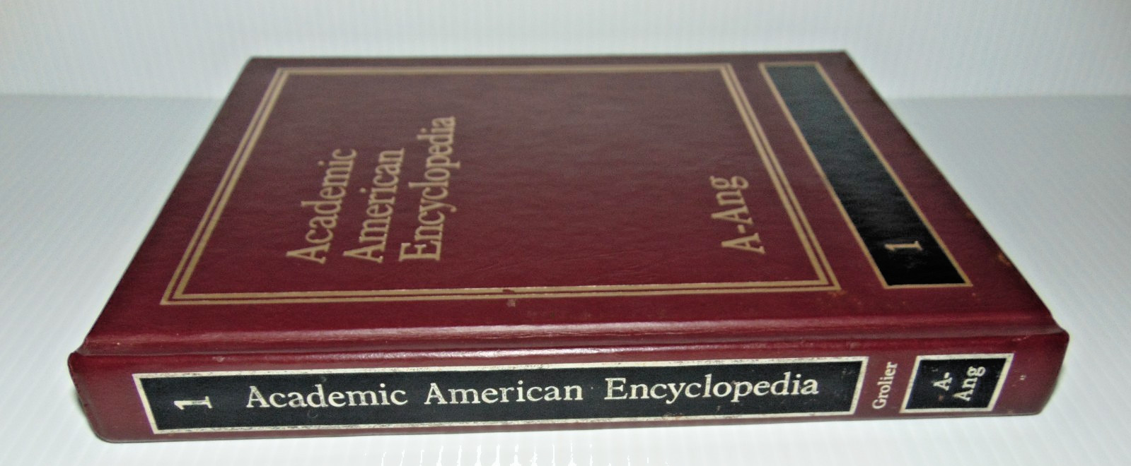 Vintage 1990 -Academic American Encyclopedia Vol 1 (A-Ang) GC