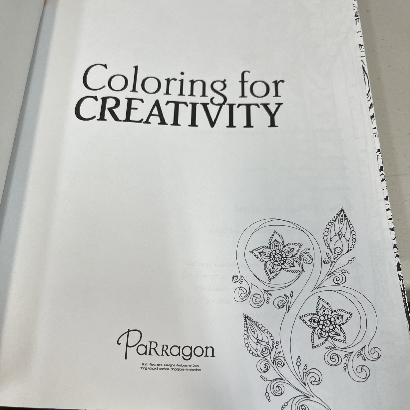 Adult Coloring for Creativity Book 288 Pages New Copyright 2015