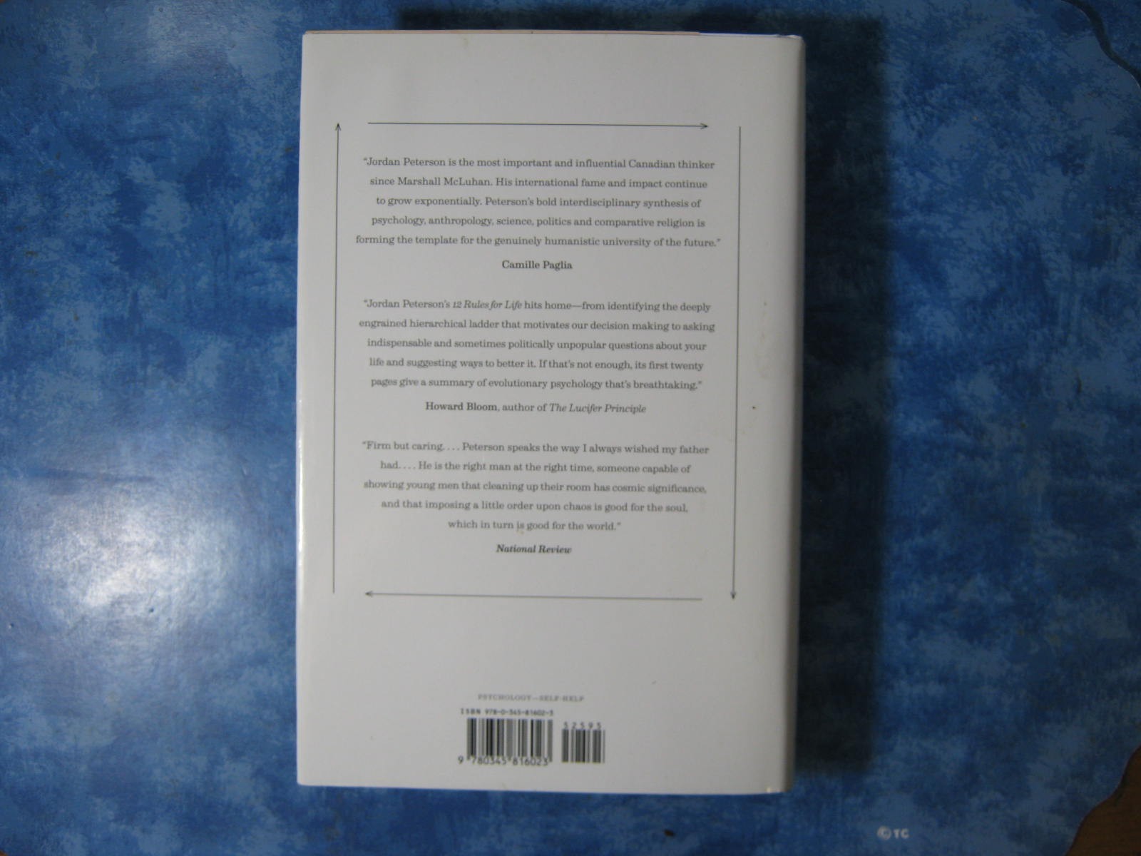 12 RULES FOR LIFE Jordan B. Peterson HCDJ 2018 An Antidote to Chaos ILLUSTR GOOD