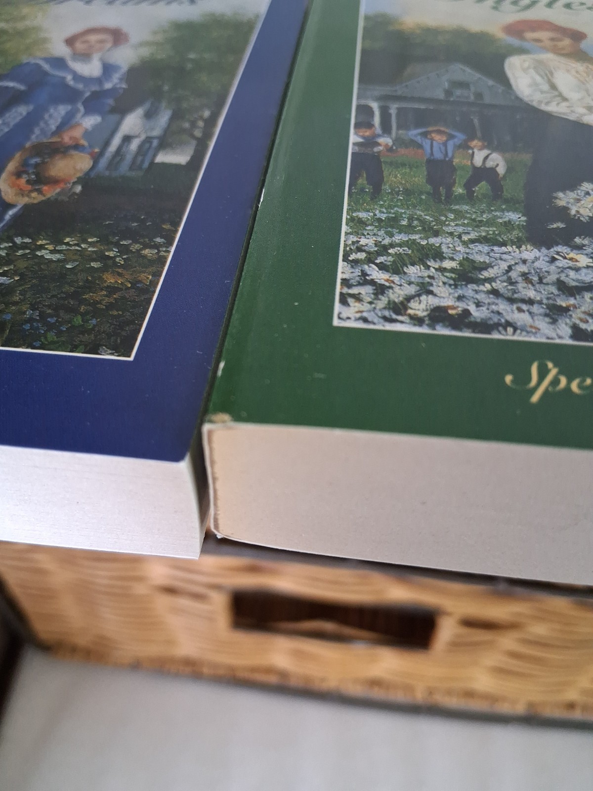 Anne of Green Gables Complete 8-Book Box Set L.M. Montgomery Bantam VTG 1990’s