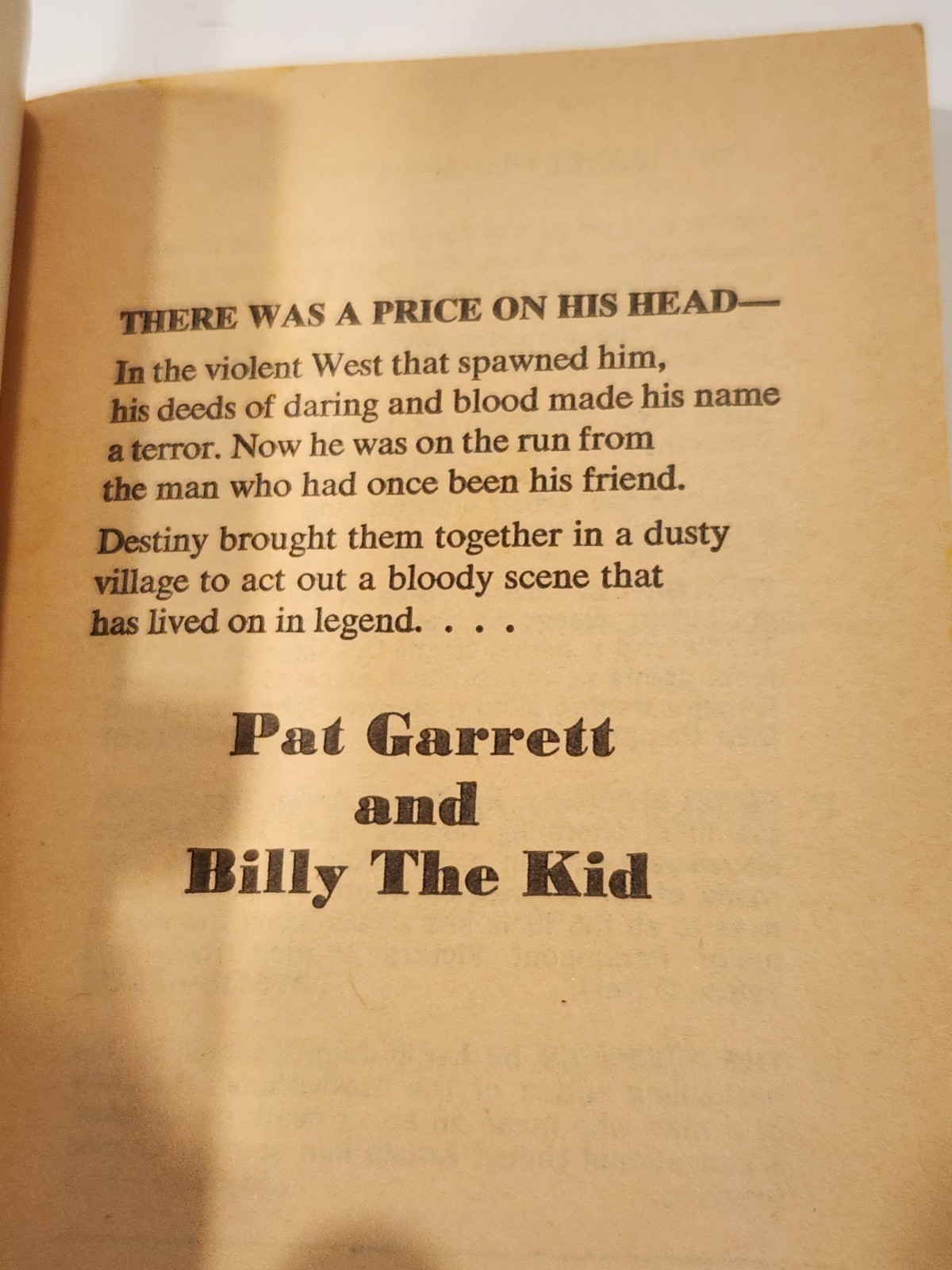 Pat Garrett and Billy the Kid Rudolph Wurlitzer Movie Tie-In PB Dylan 1973