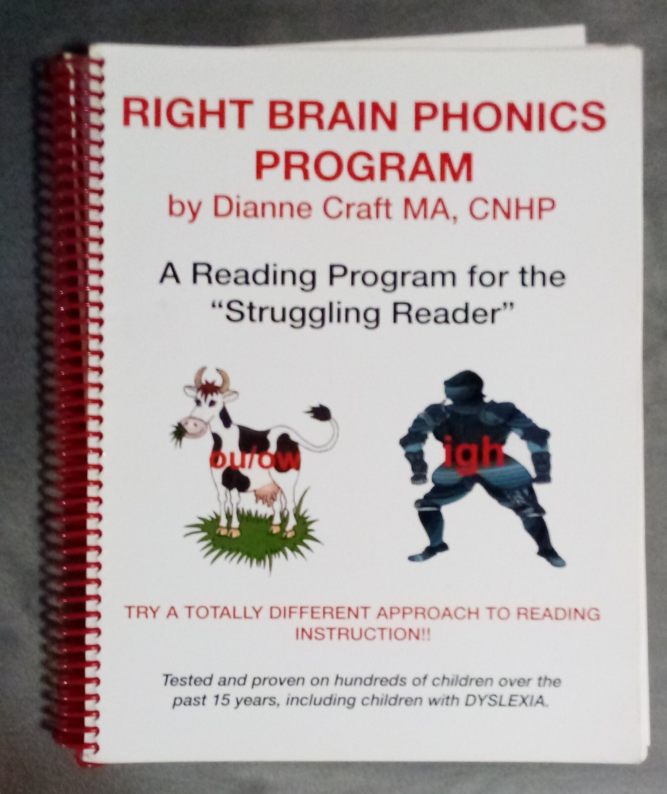 Right Brain Phonics Program Dyslexia Reading Dianne Craft Struggling Reader F
