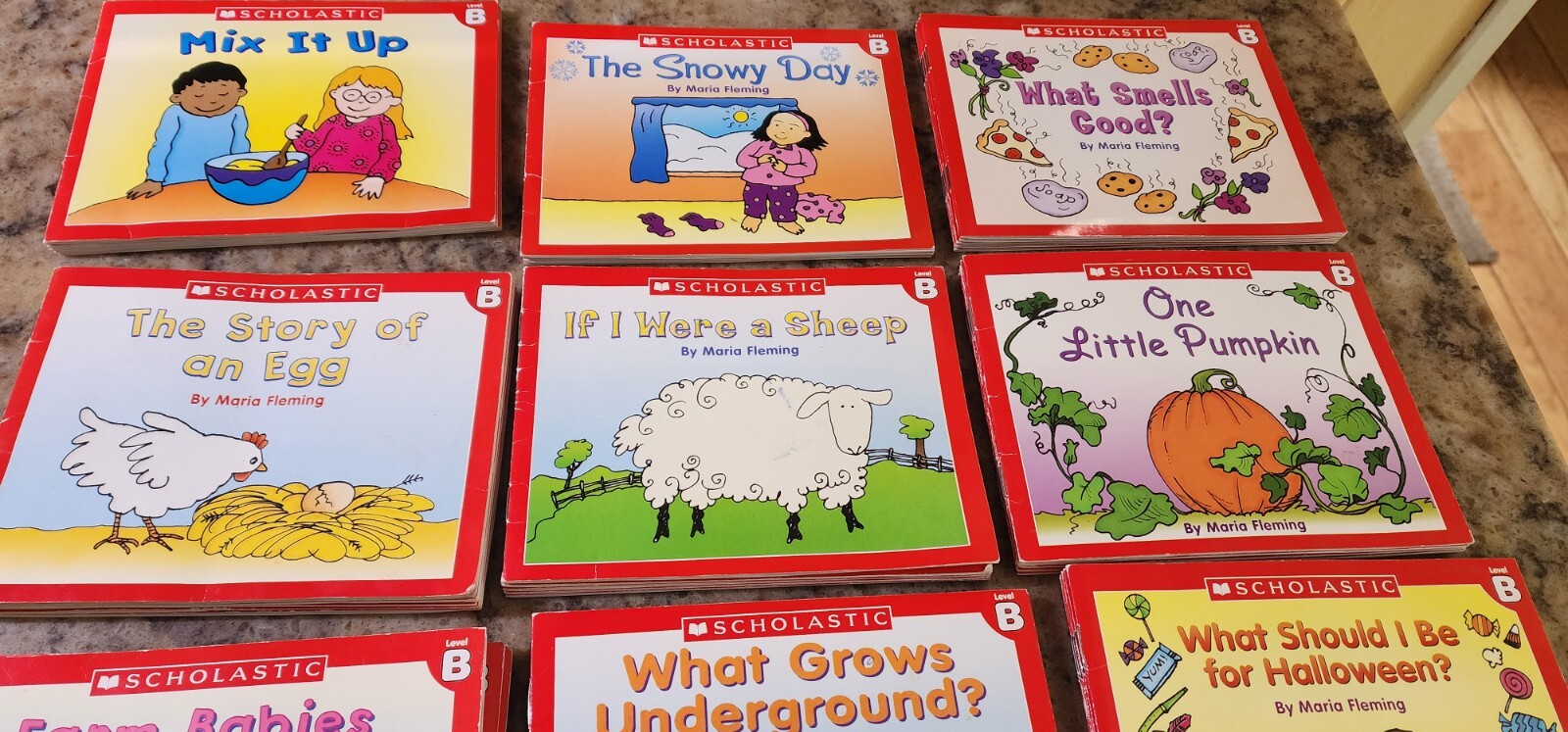 Scholastic Little Leveled Readers Level B Homeschooling Boxed Set Classroom