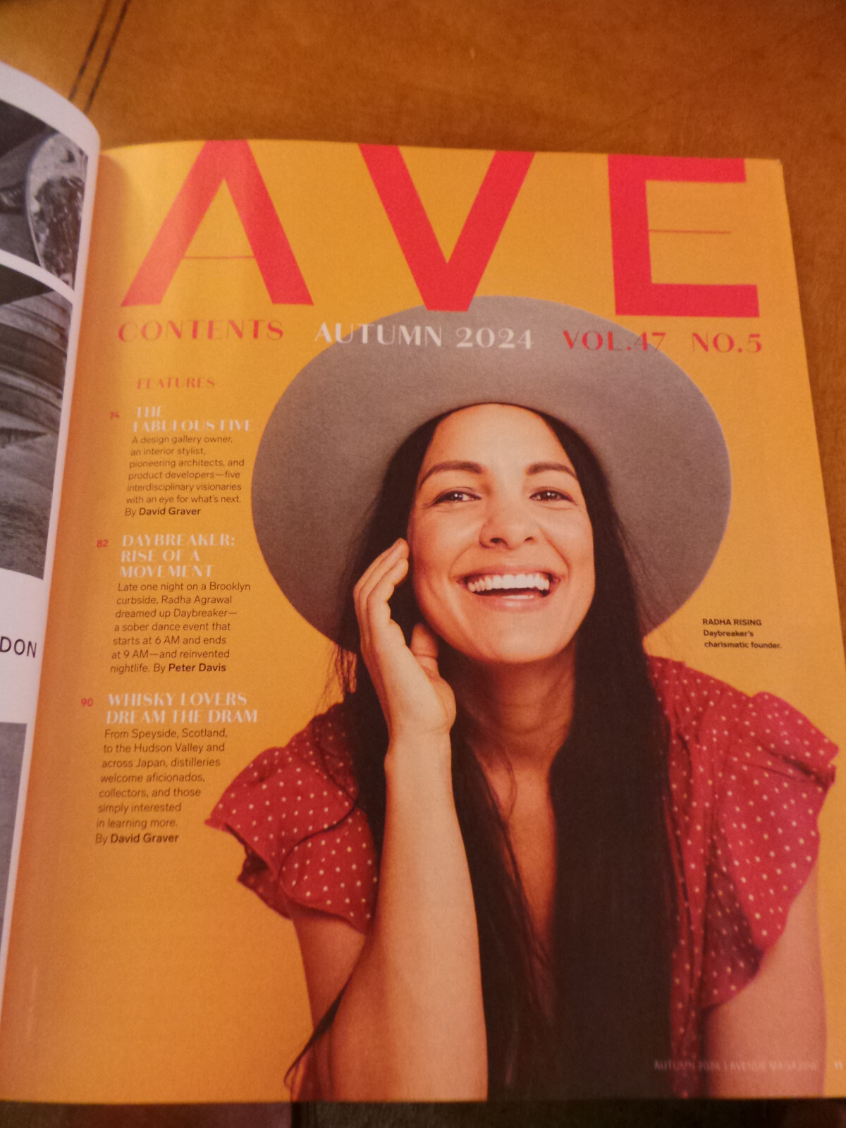 Avenue Magazine Dia Art Foundation; Scotland Distilleries; India Hicks Fall 2024